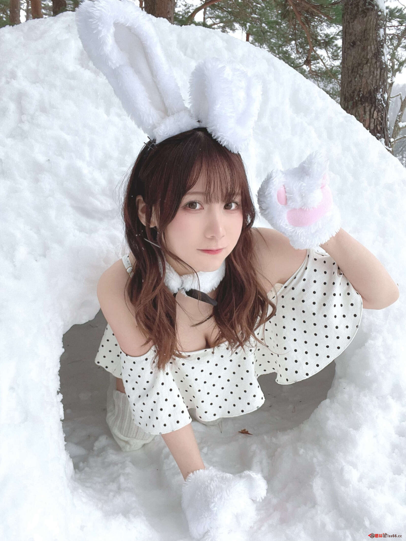 https://www.lss77.com/wp-content/uploads/2022/03/018-143-1600x2133.jpg