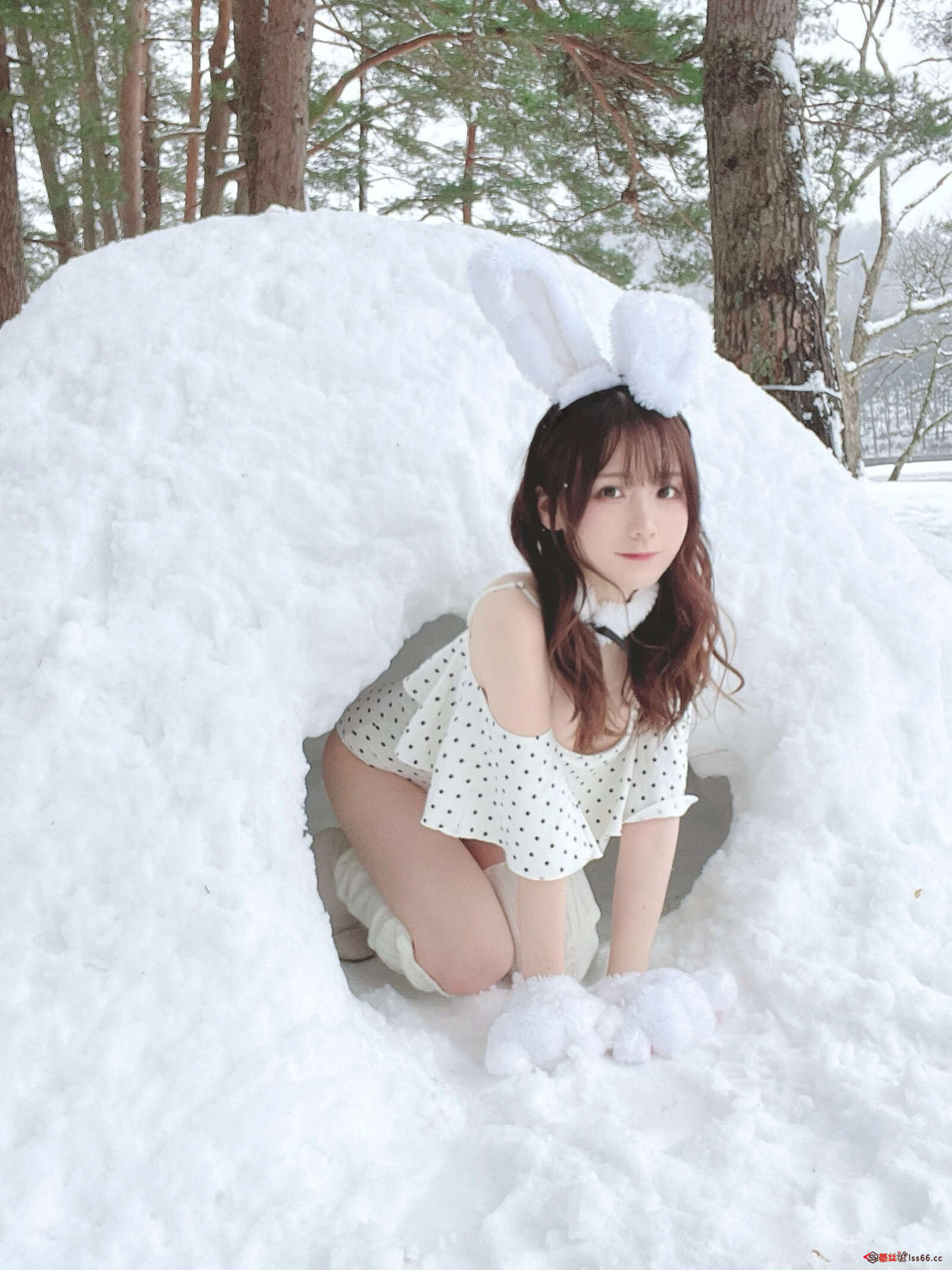 https://www.lss77.com/wp-content/uploads/2022/03/021-130-1600x2134.jpg