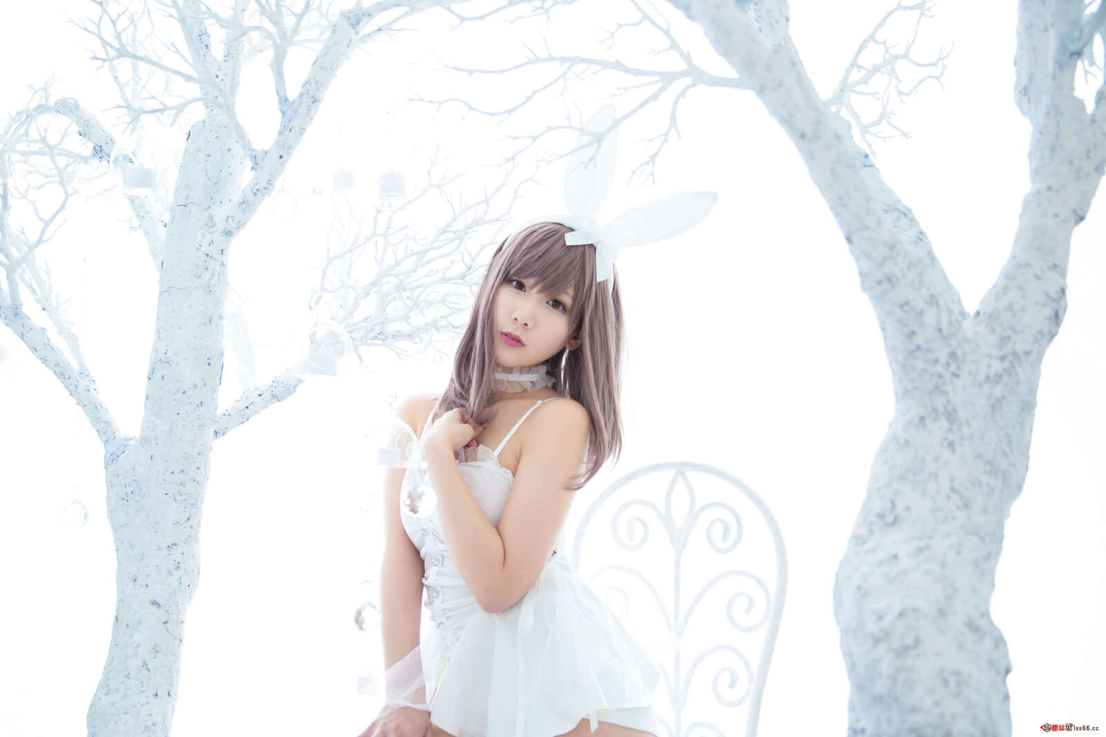 https://www.lss77.com/wp-content/uploads/2022/03/108-5-1600x1067.jpg