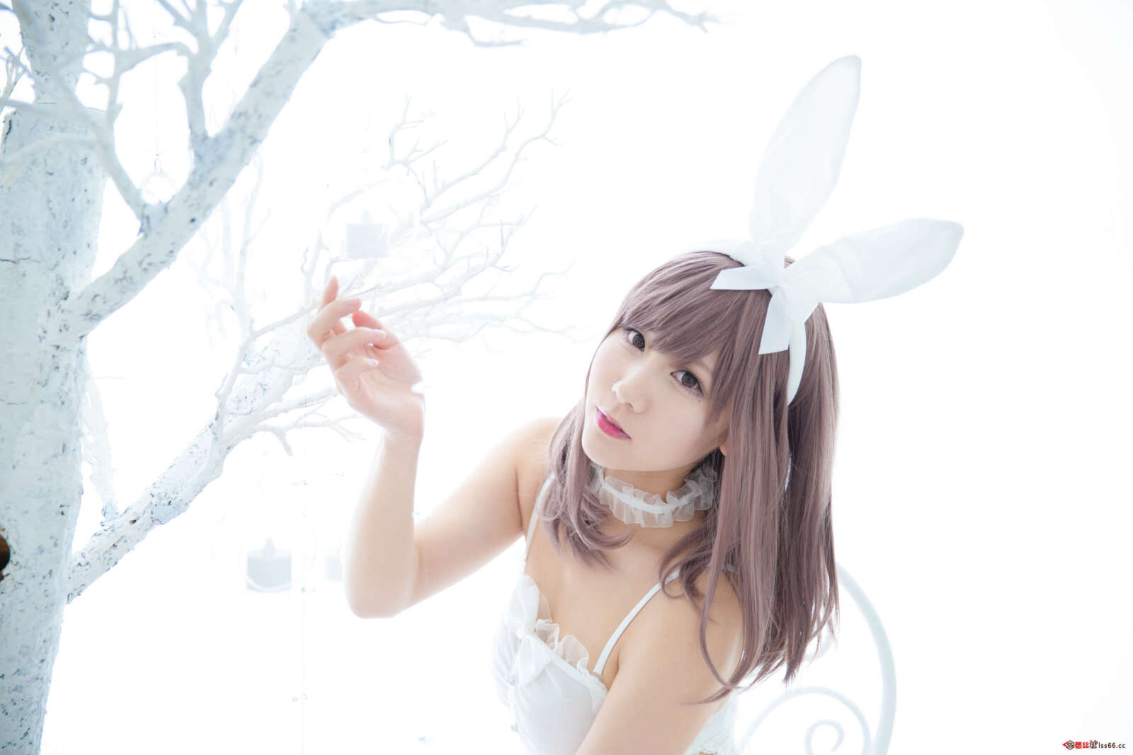 https://www.lss77.com/wp-content/uploads/2022/03/117-3-1600x1067.jpg