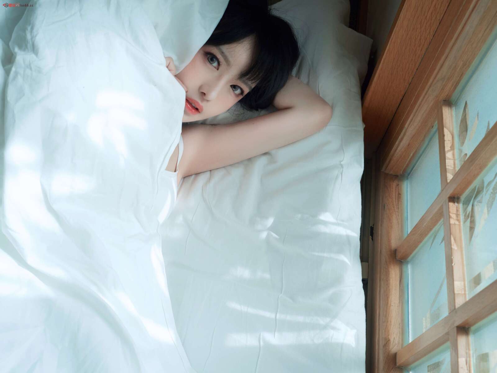 https://www.lss77.com/wp-content/uploads/2022/03/2019-06-01-010838-1600x1200.jpg