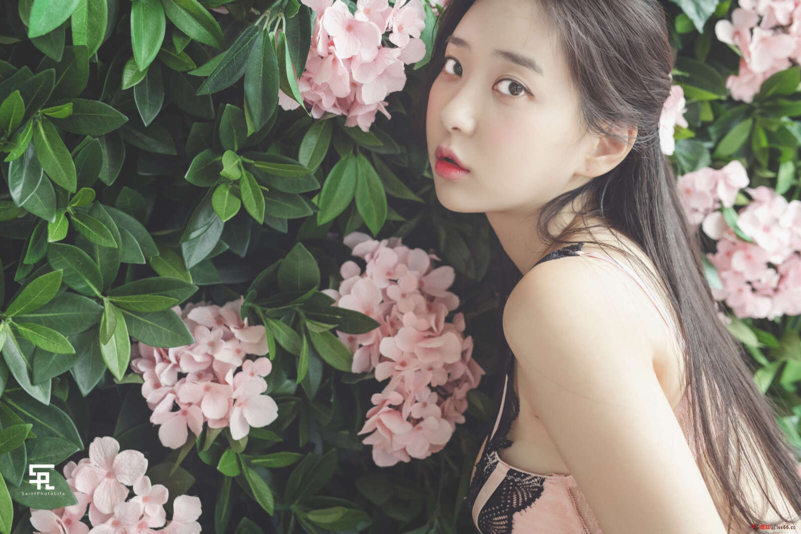 https://www.lss77.com/wp-content/uploads/2022/04/0015-219-1600x1067.jpg