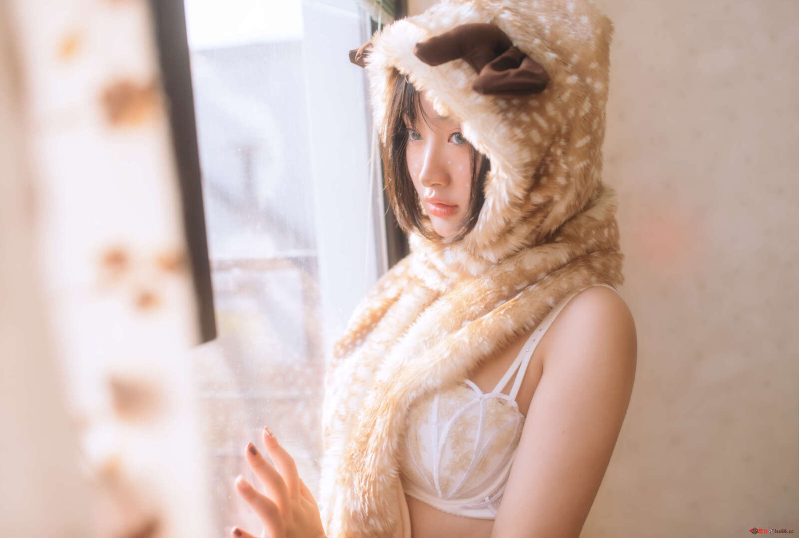 https://www.lss77.com/wp-content/uploads/2022/04/0022-40-1600x1078.jpg
