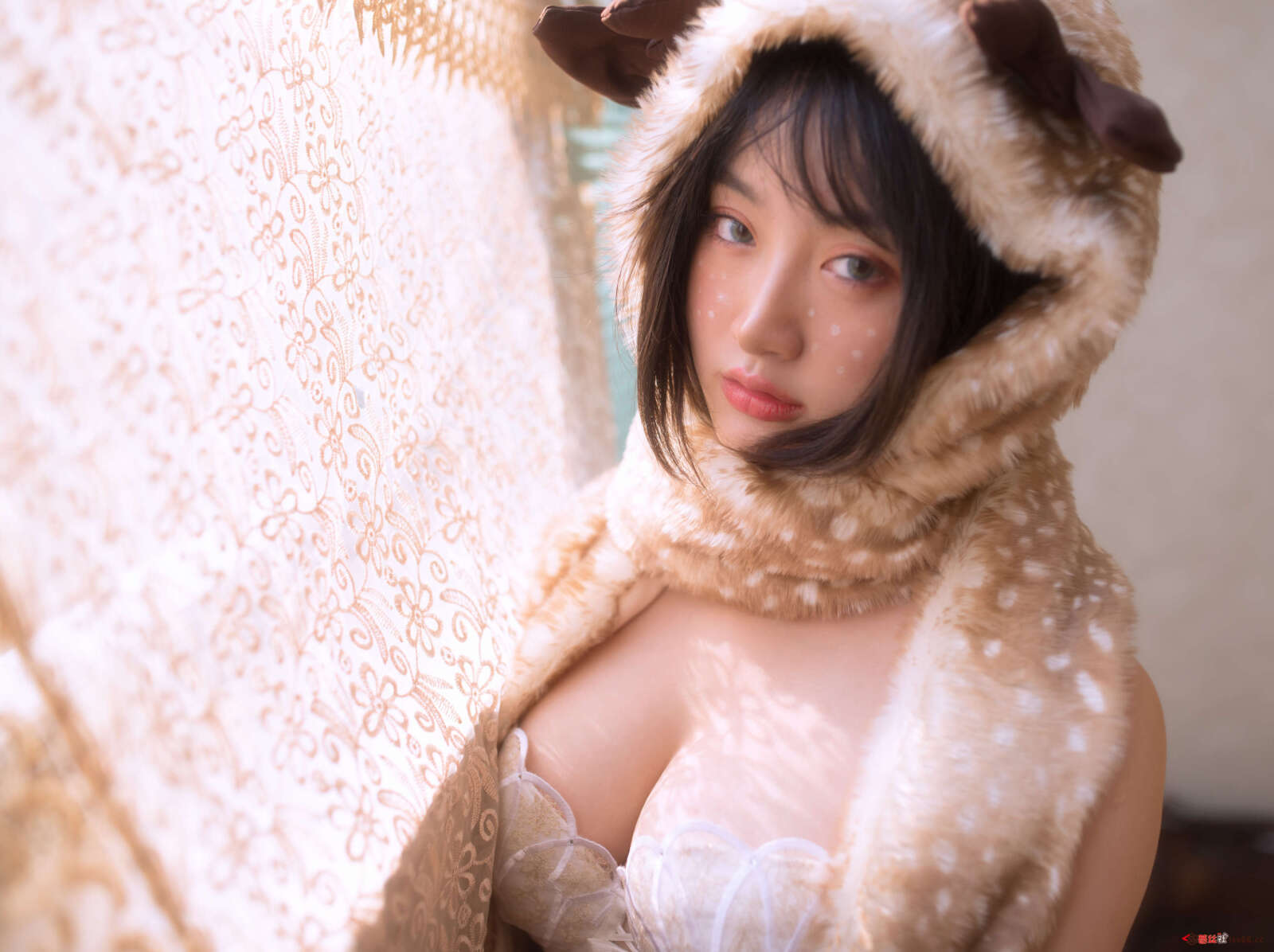 https://www.lss77.com/wp-content/uploads/2022/04/0024-40-1600x1196.jpg