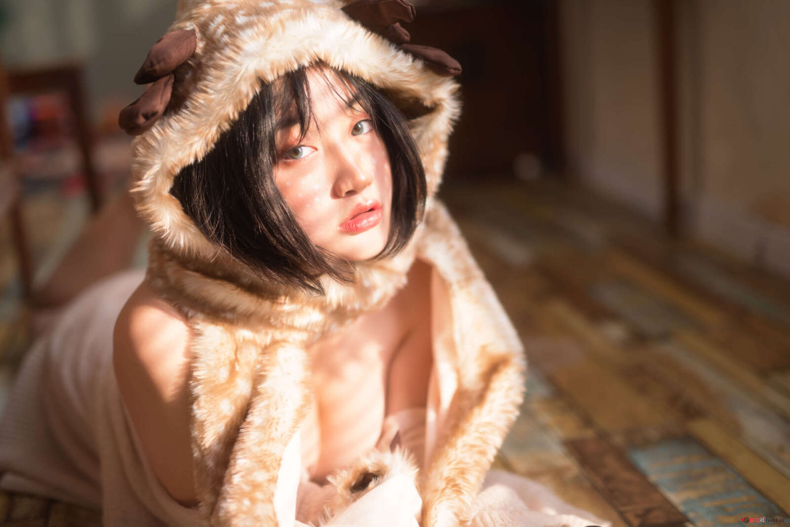 https://www.lss77.com/wp-content/uploads/2022/04/0025-40-1600x1068.jpg