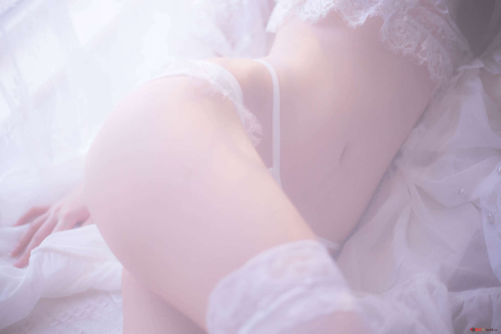 https://www.lss77.com/wp-content/uploads/2022/04/0027-339-1600x1067.jpg