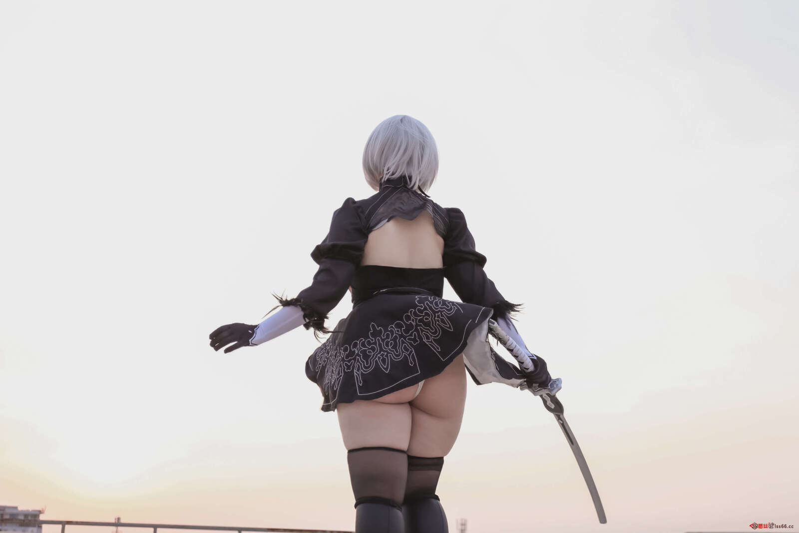 https://www.lss77.com/wp-content/uploads/2022/04/003-38-1600x1067.jpg