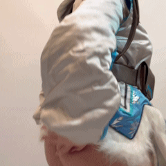 https://www.lss77.com/wp-content/uploads/2022/04/0049-1.gif