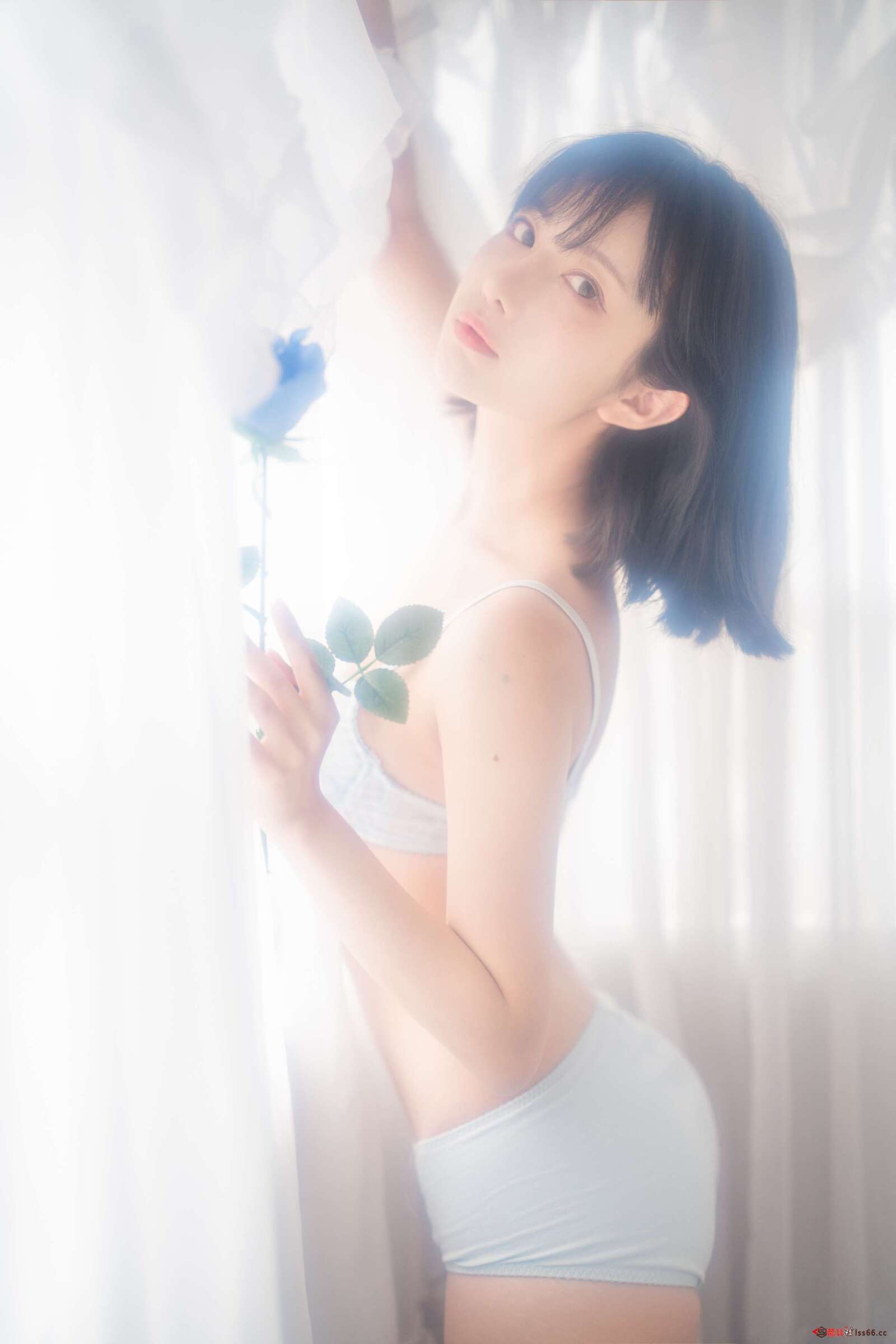 https://www.lss77.com/wp-content/uploads/2022/04/0052-35-1600x2400.jpg