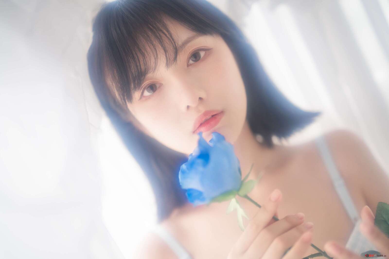 https://www.lss77.com/wp-content/uploads/2022/04/0054-34-1600x1067.jpg