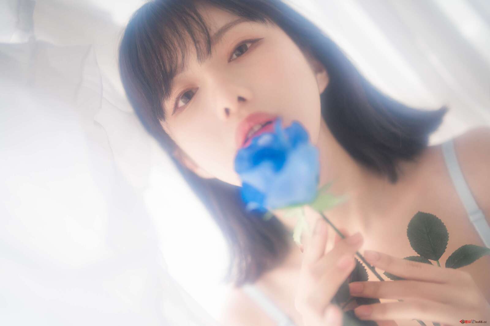 https://www.lss77.com/wp-content/uploads/2022/04/0058-29-1600x1067.jpg