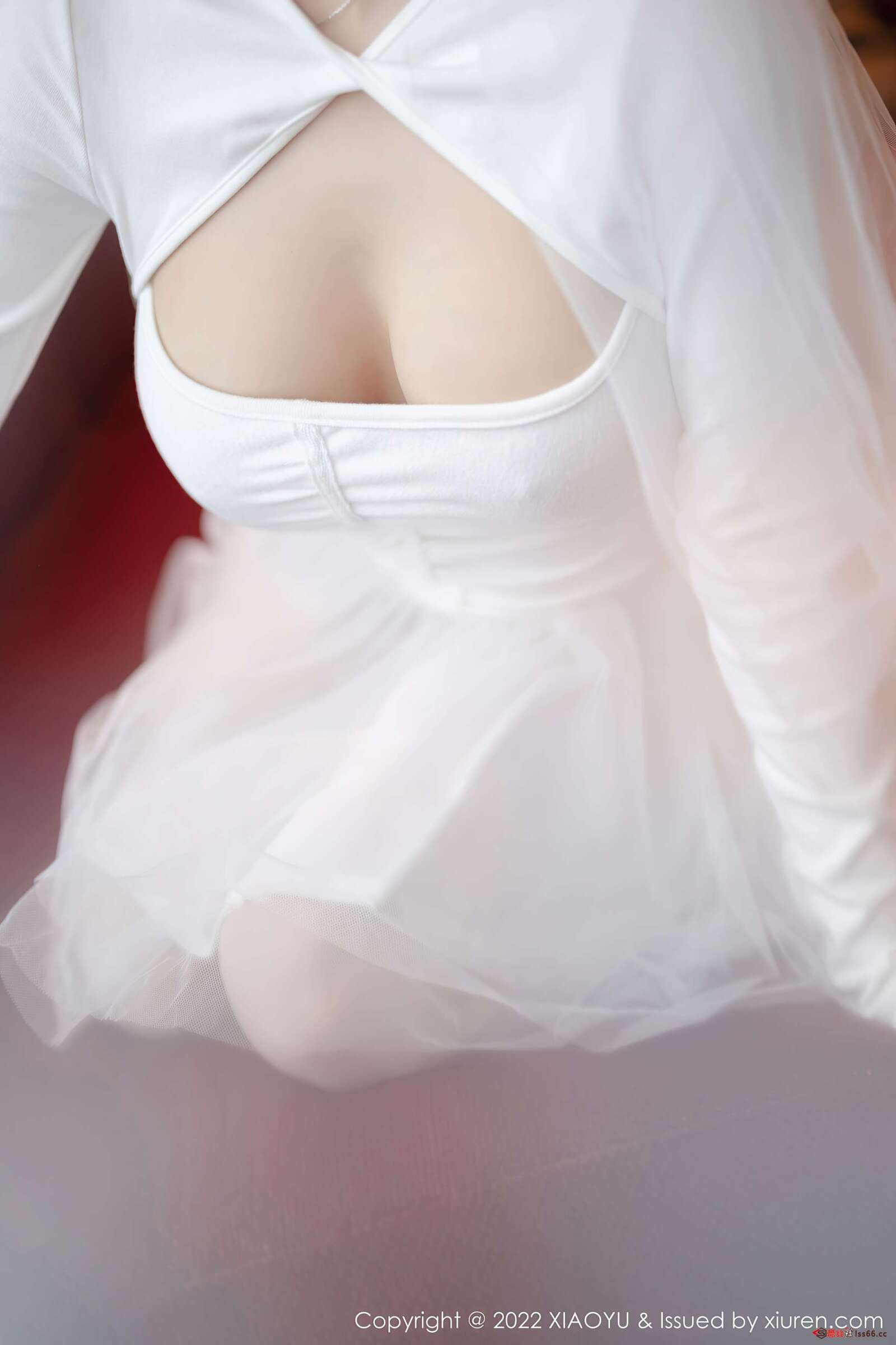 https://www.lss77.com/wp-content/uploads/2022/04/0060-120-1600x2400.jpg