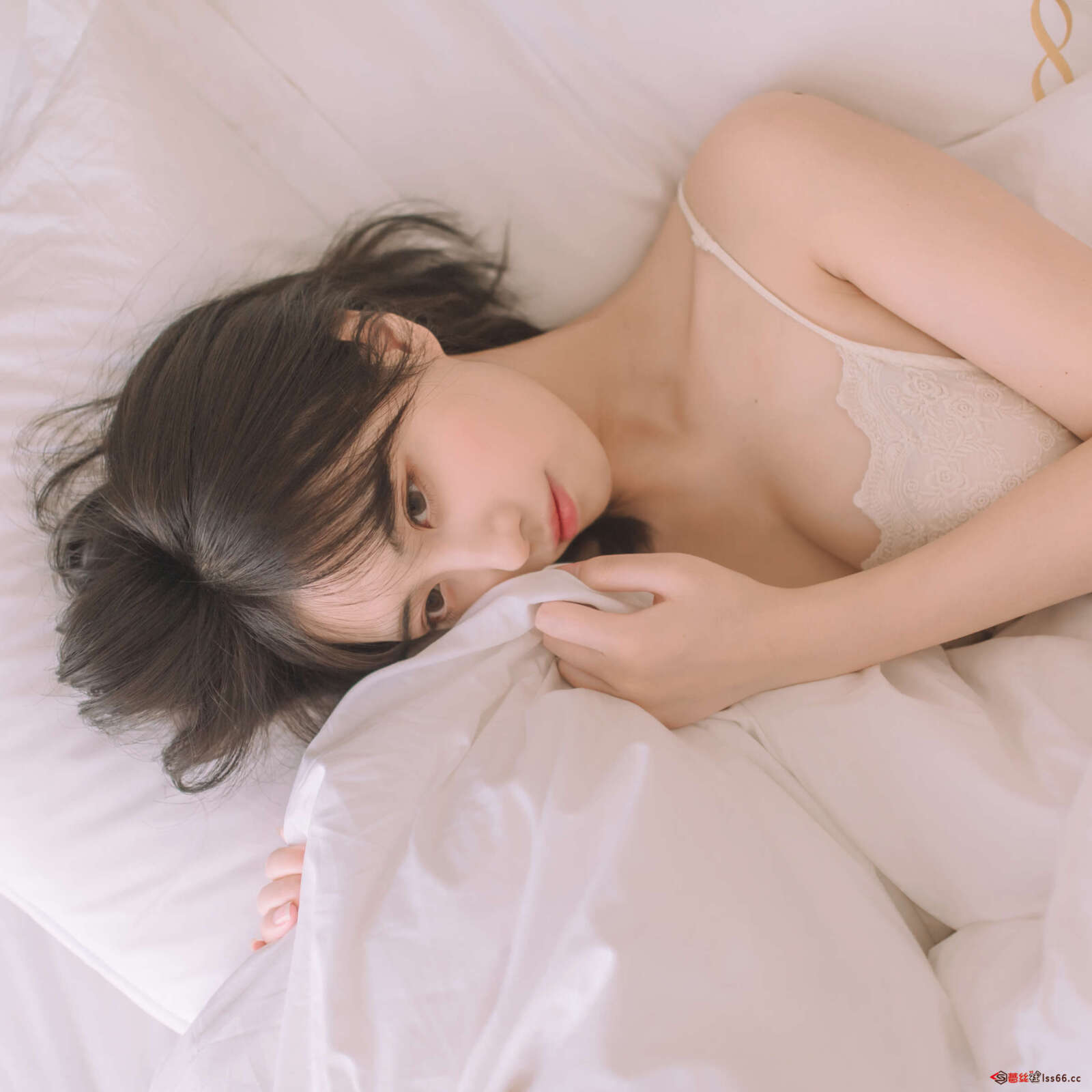 https://www.lss77.com/wp-content/uploads/2022/04/047-3-1600x1600.jpg