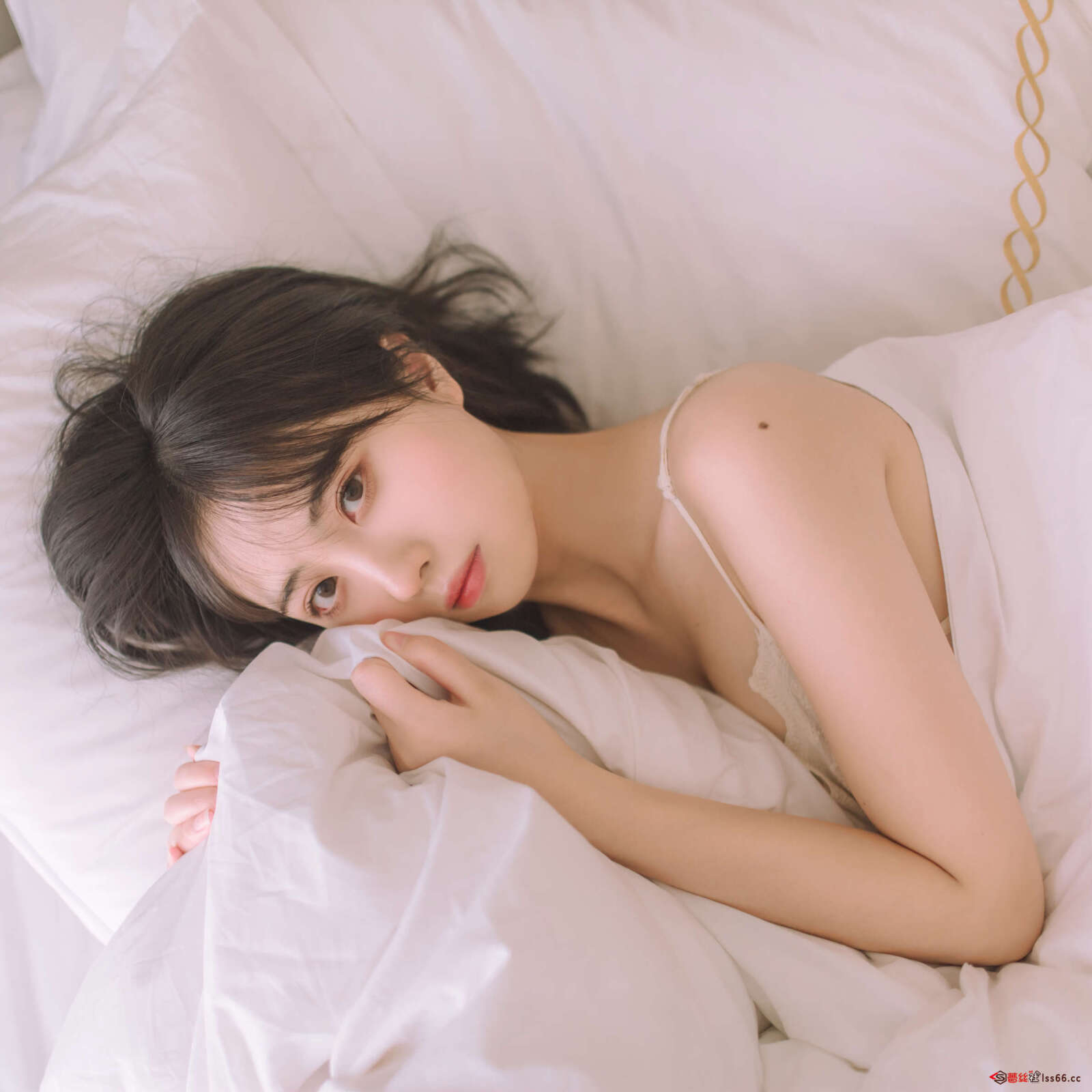 https://www.lss77.com/wp-content/uploads/2022/04/048-2-1600x1600.jpg