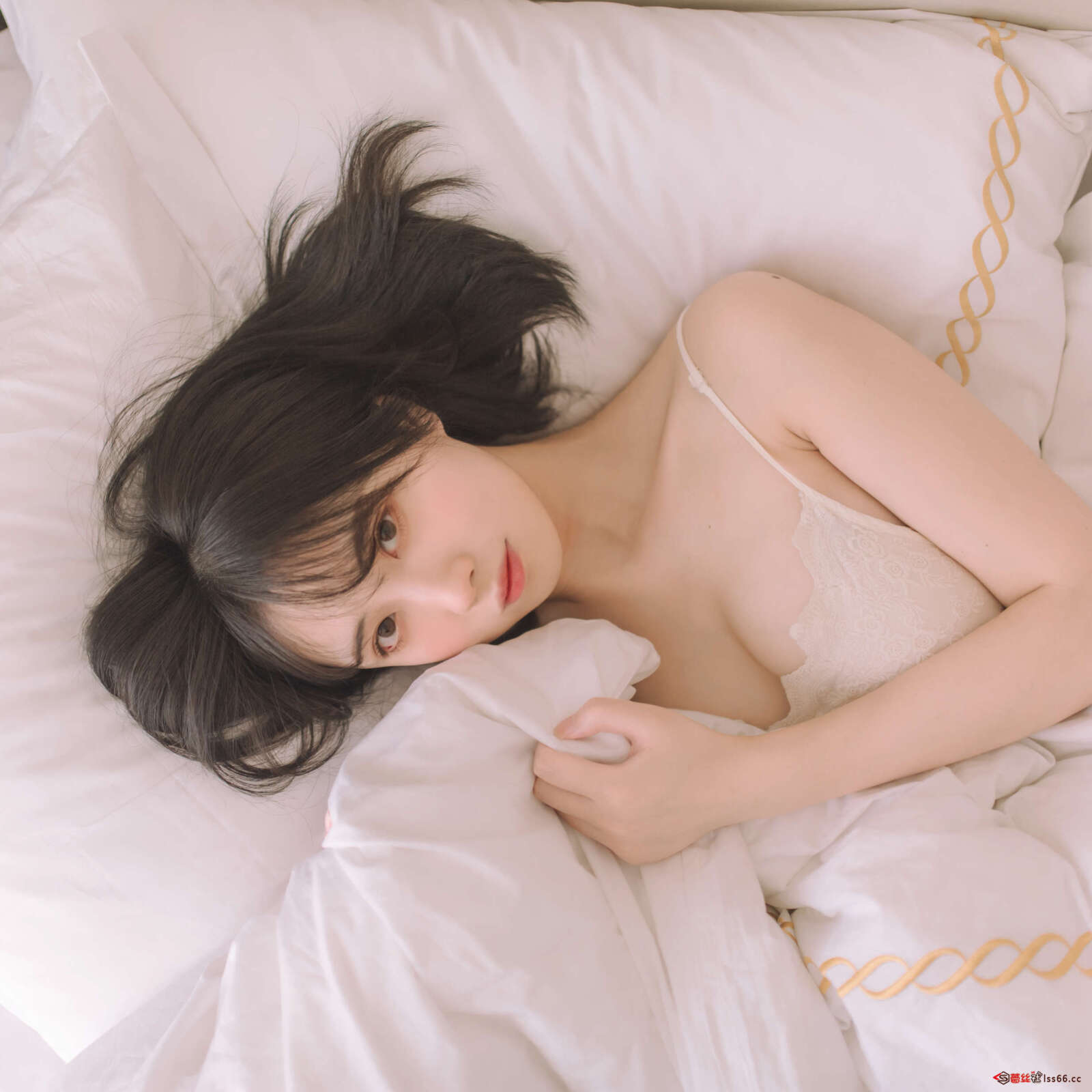 https://www.lss77.com/wp-content/uploads/2022/04/049-2-1600x1600.jpg