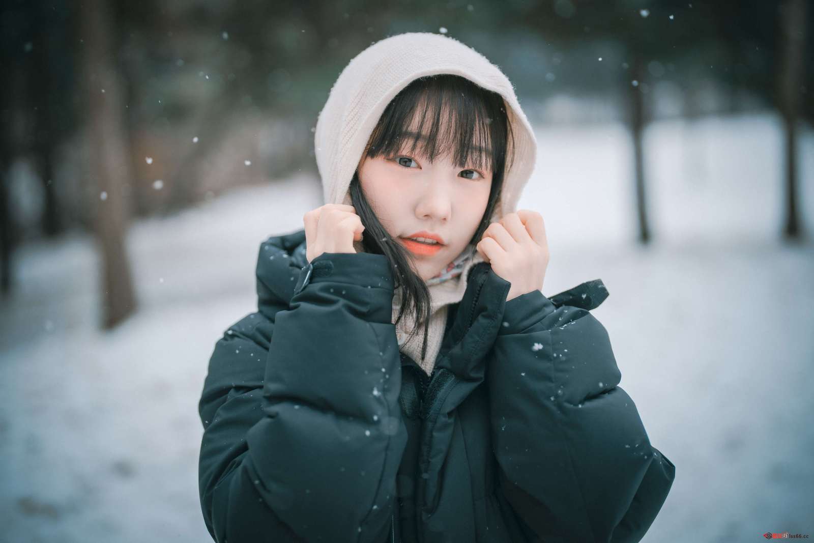 https://www.lss77.com/wp-content/uploads/2022/05/012-29-1600x1067.jpg