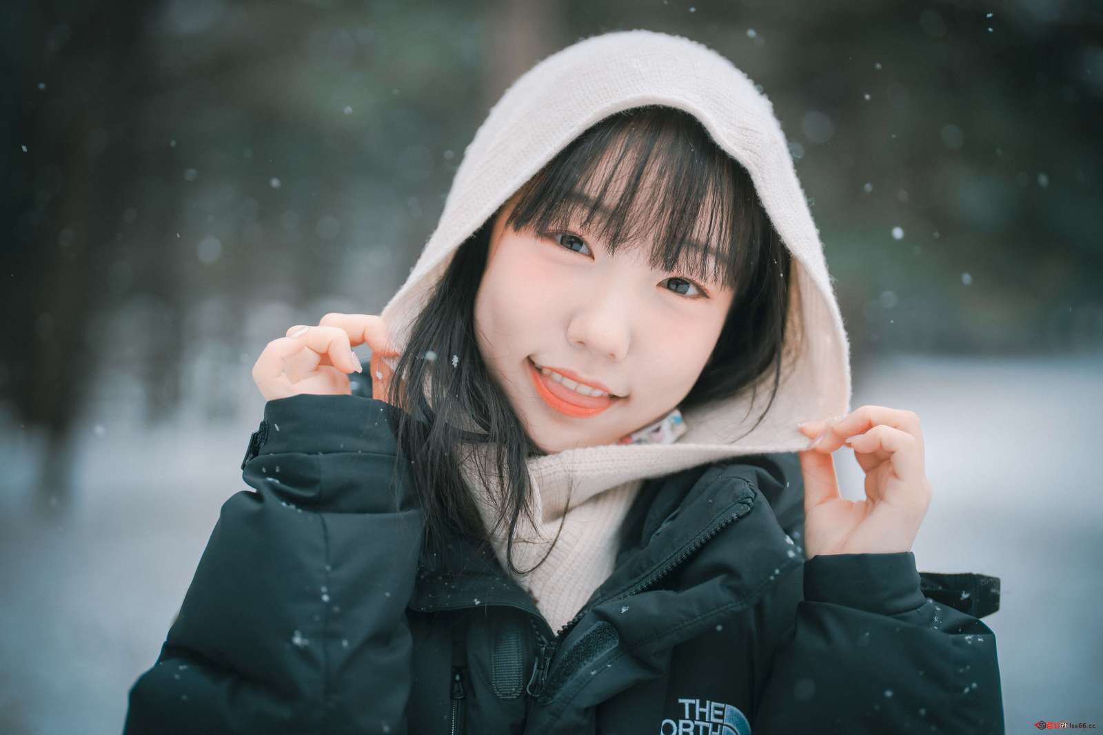 https://www.lss77.com/wp-content/uploads/2022/05/014-26-1600x1067.jpg