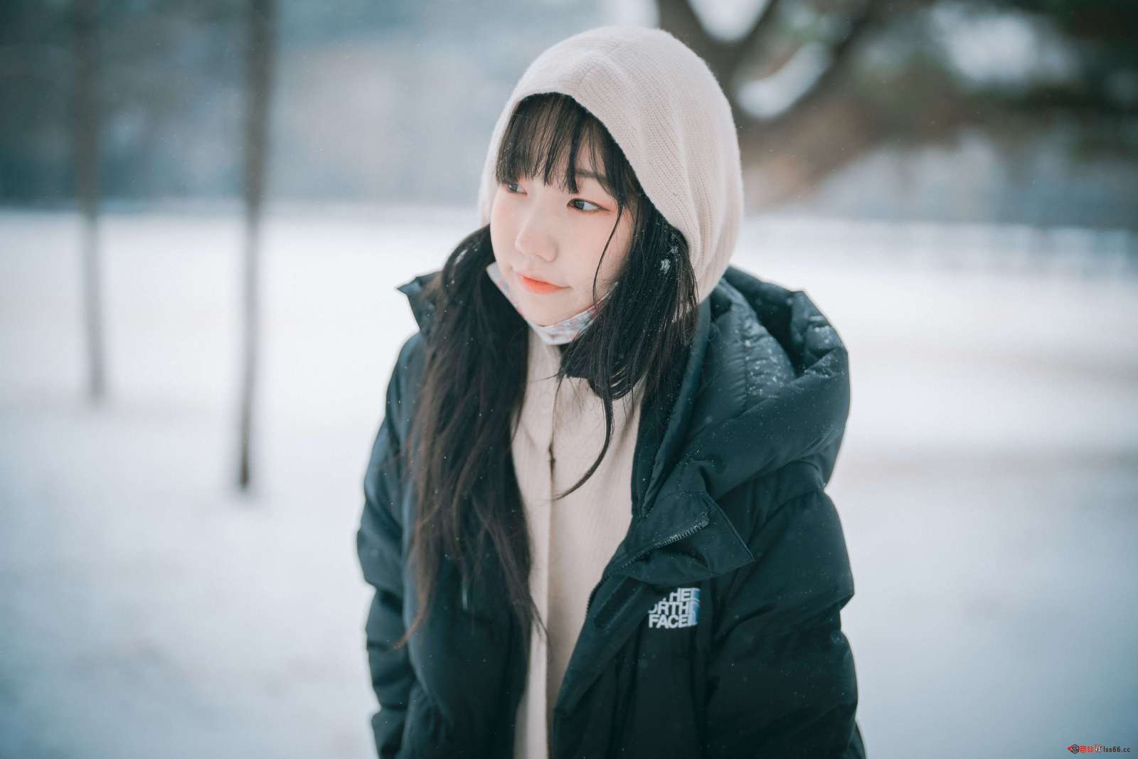 https://www.lss77.com/wp-content/uploads/2022/05/092-7-1600x1067.jpg