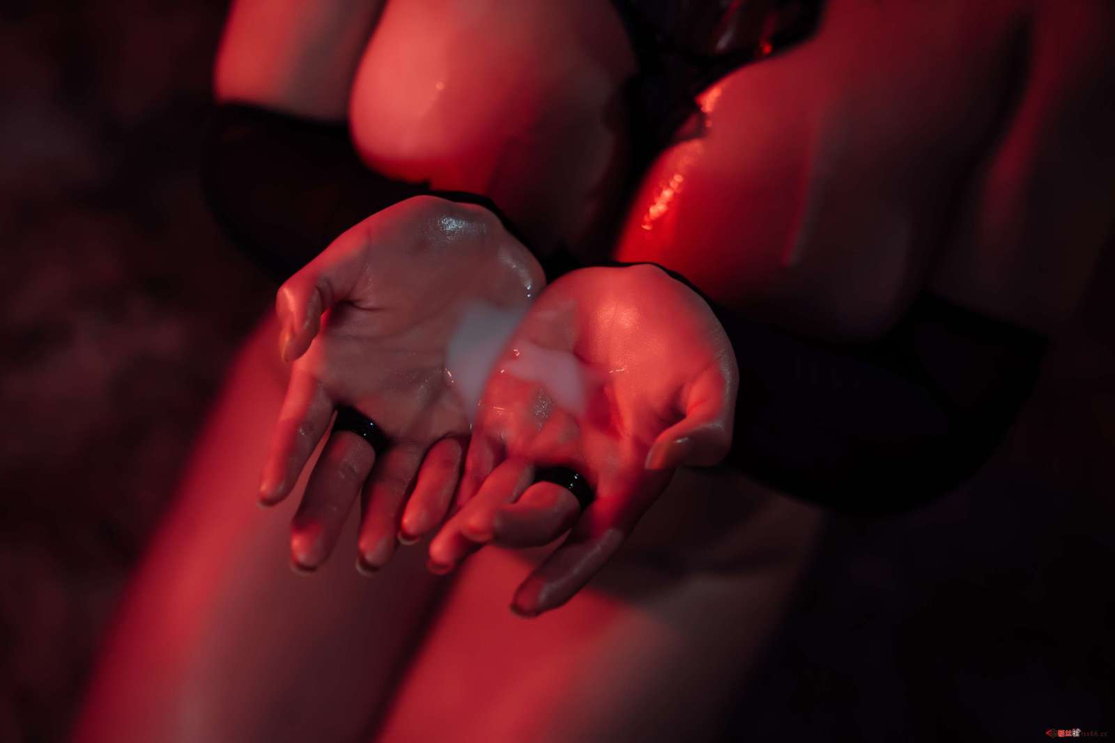https://www.lss77.com/wp-content/uploads/2022/06/010-6-1600x1067.jpg