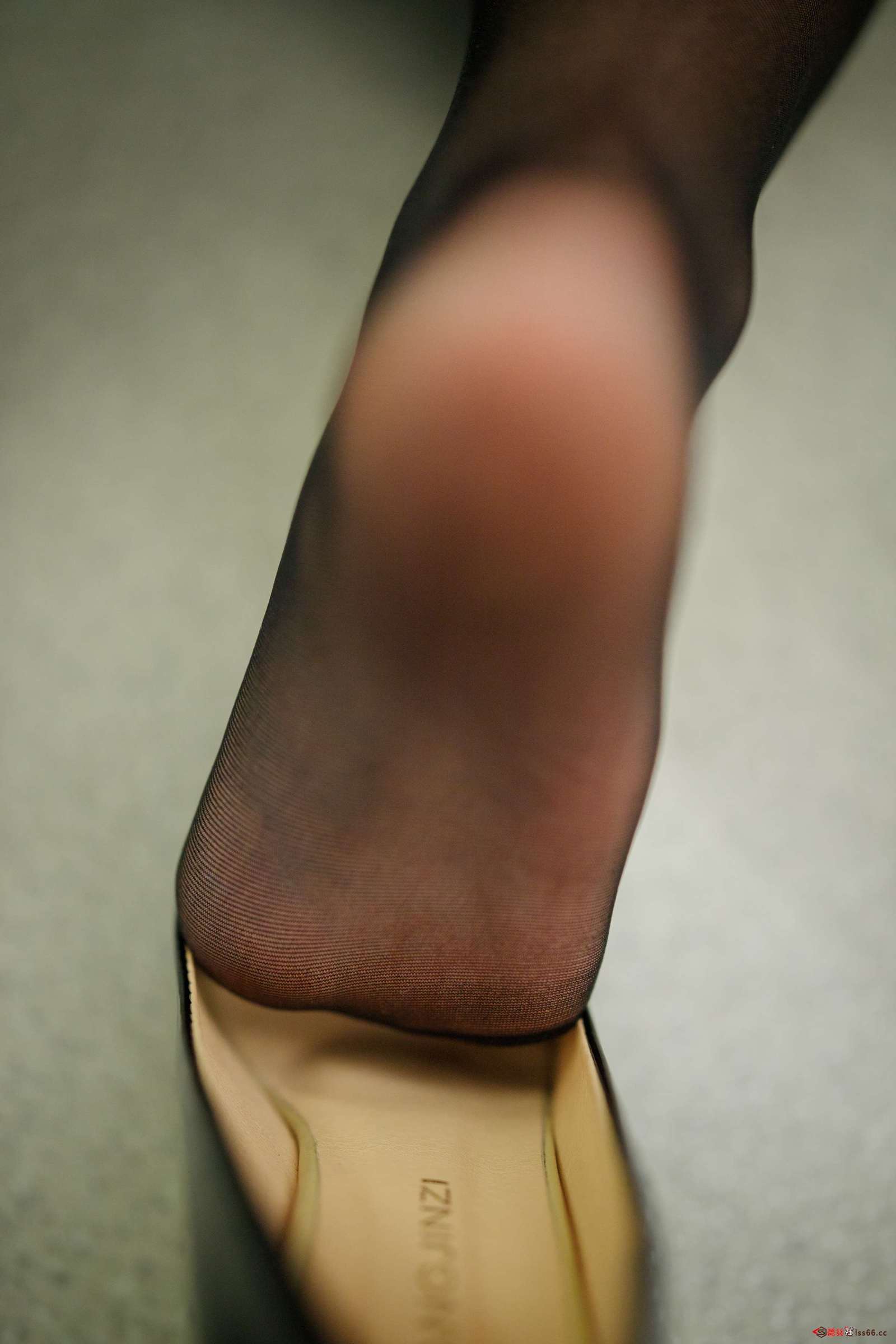 https://www.lss77.com/wp-content/uploads/2022/06/102-5-1600x2400.jpg