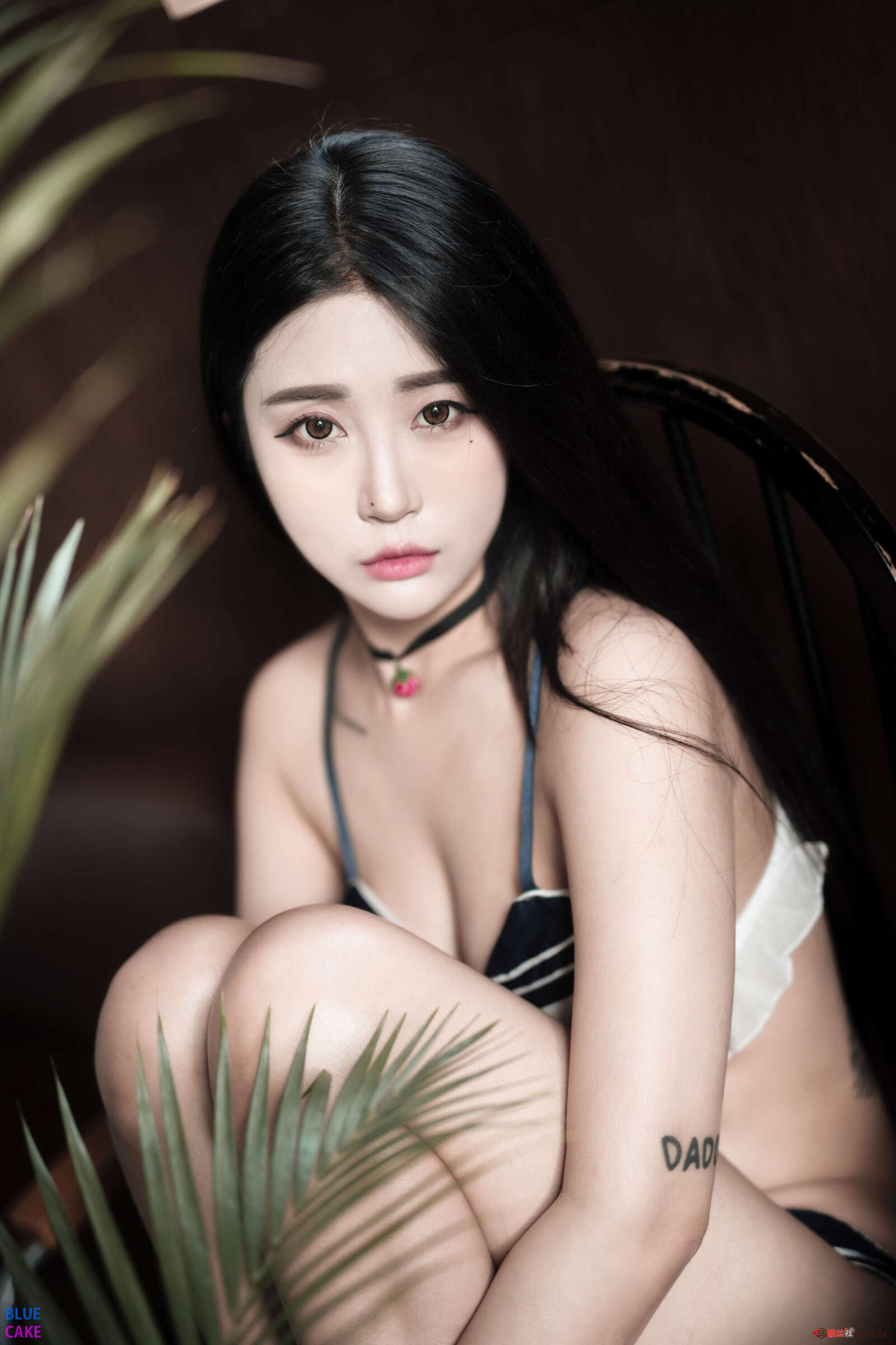 https://www.lss77.com/wp-content/uploads/2022/06/55-17-1600x2400.jpg