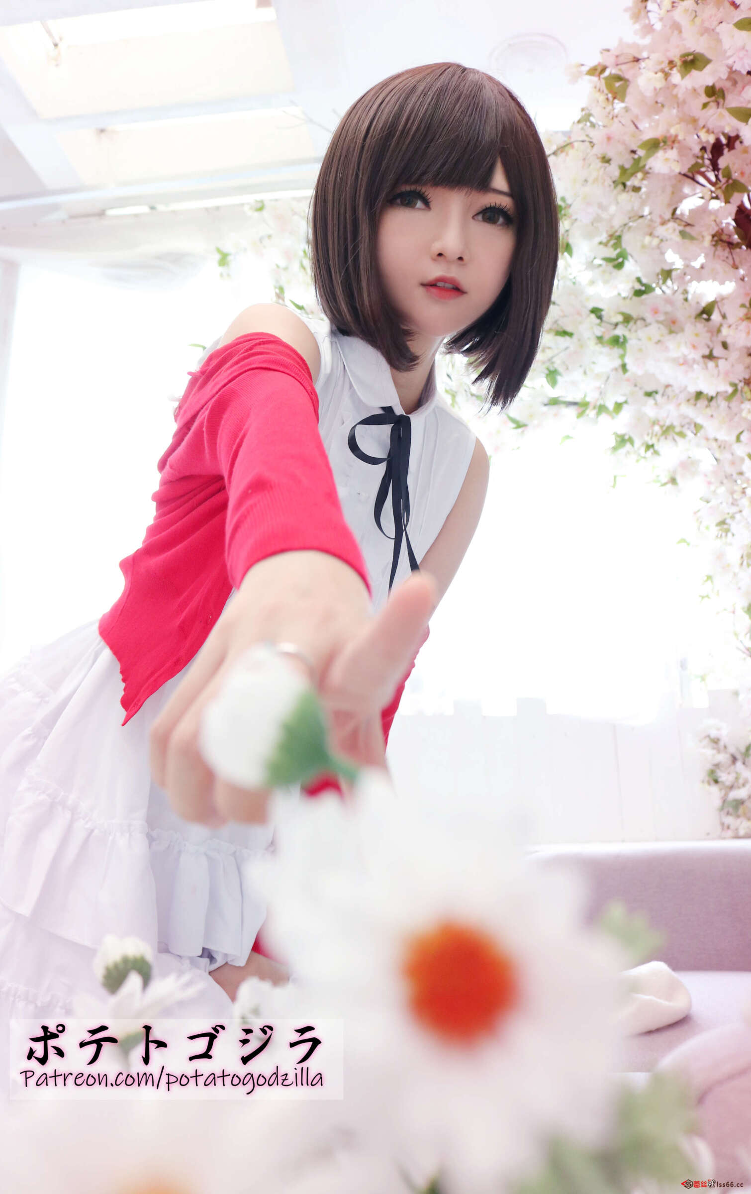 https://www.lss77.com/wp-content/uploads/2022/06/C-15-53-1510x2400.jpg
