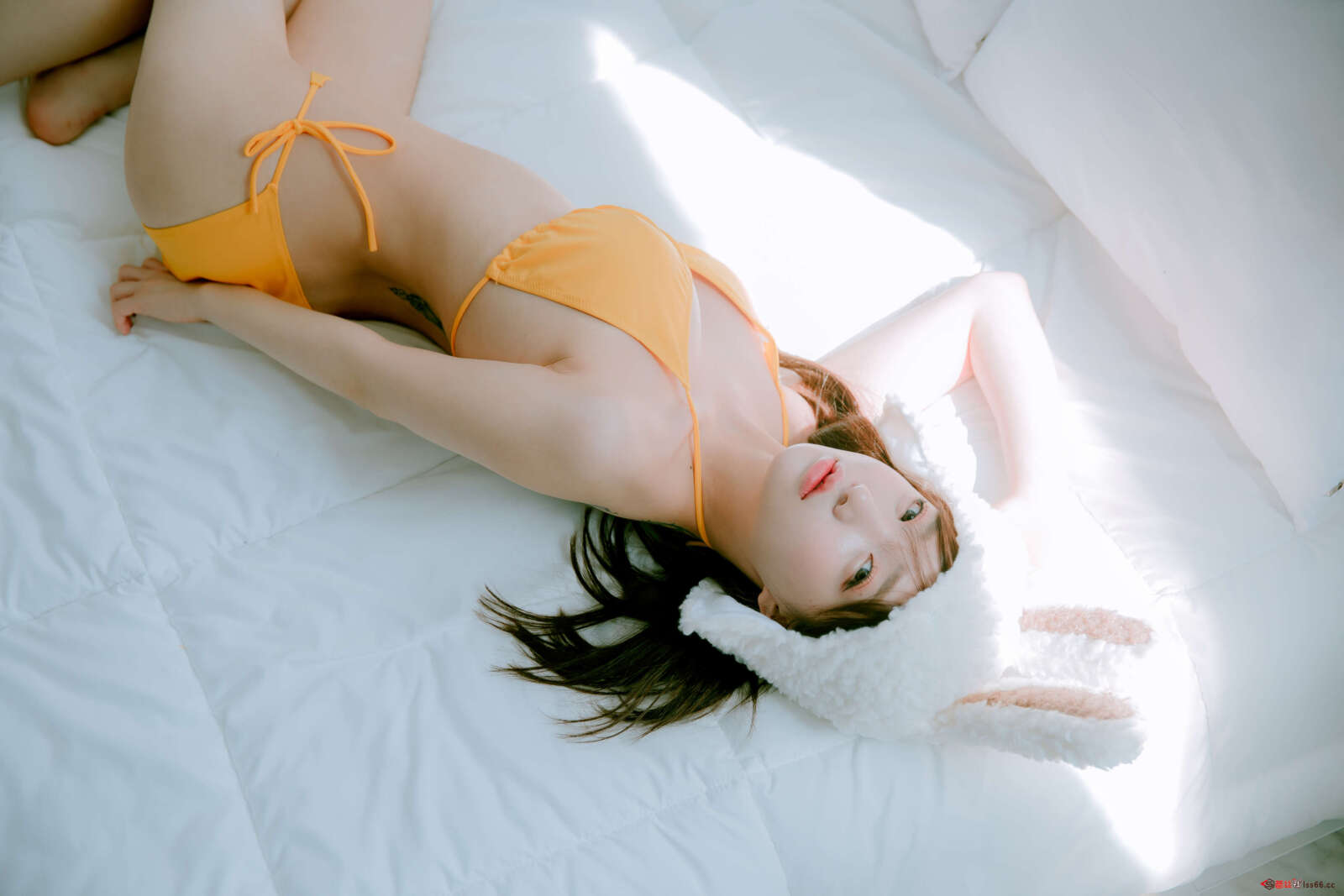 https://www.lss77.com/wp-content/uploads/2022/06/C-2-56-1600x1067.jpg