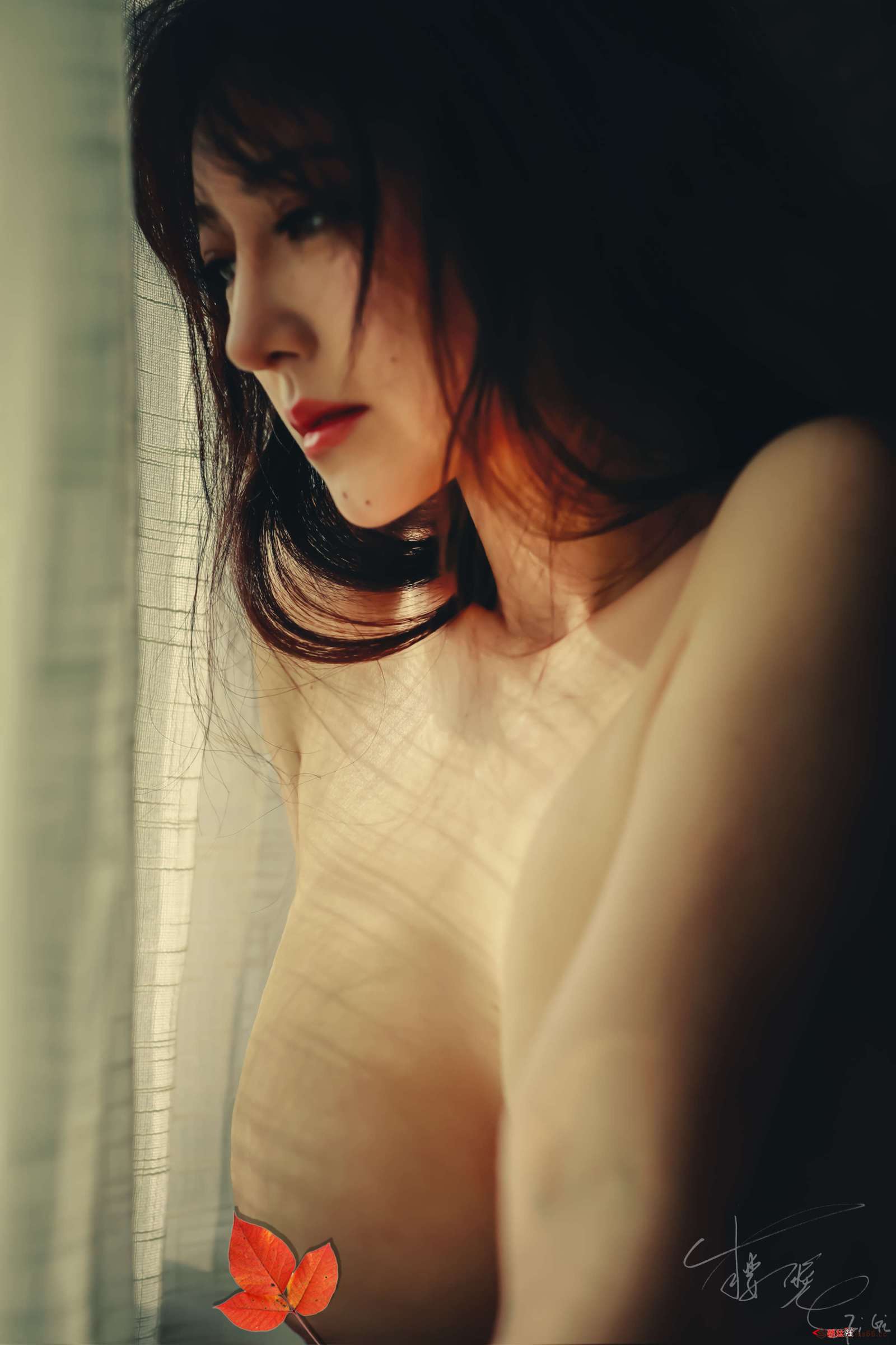https://www.lss77.com/wp-content/uploads/2022/06/C-20-5-1600x2400.jpg