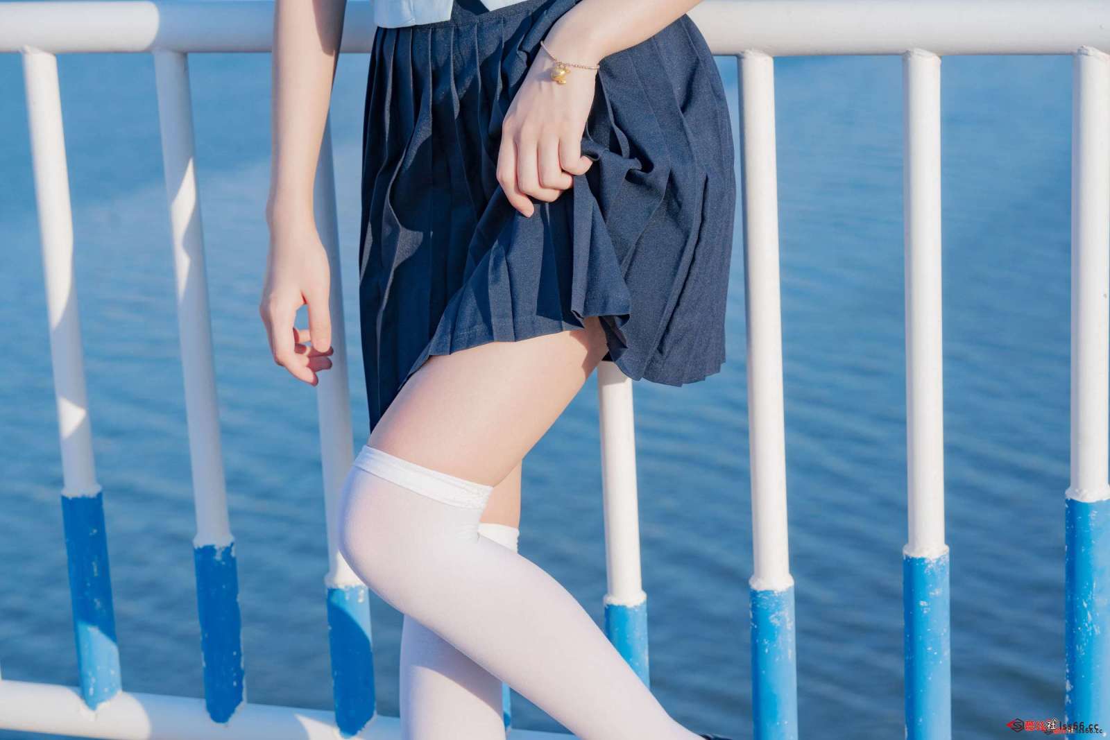 https://www.lss77.com/wp-content/uploads/2022/06/C-33-3-1600x1067.jpg