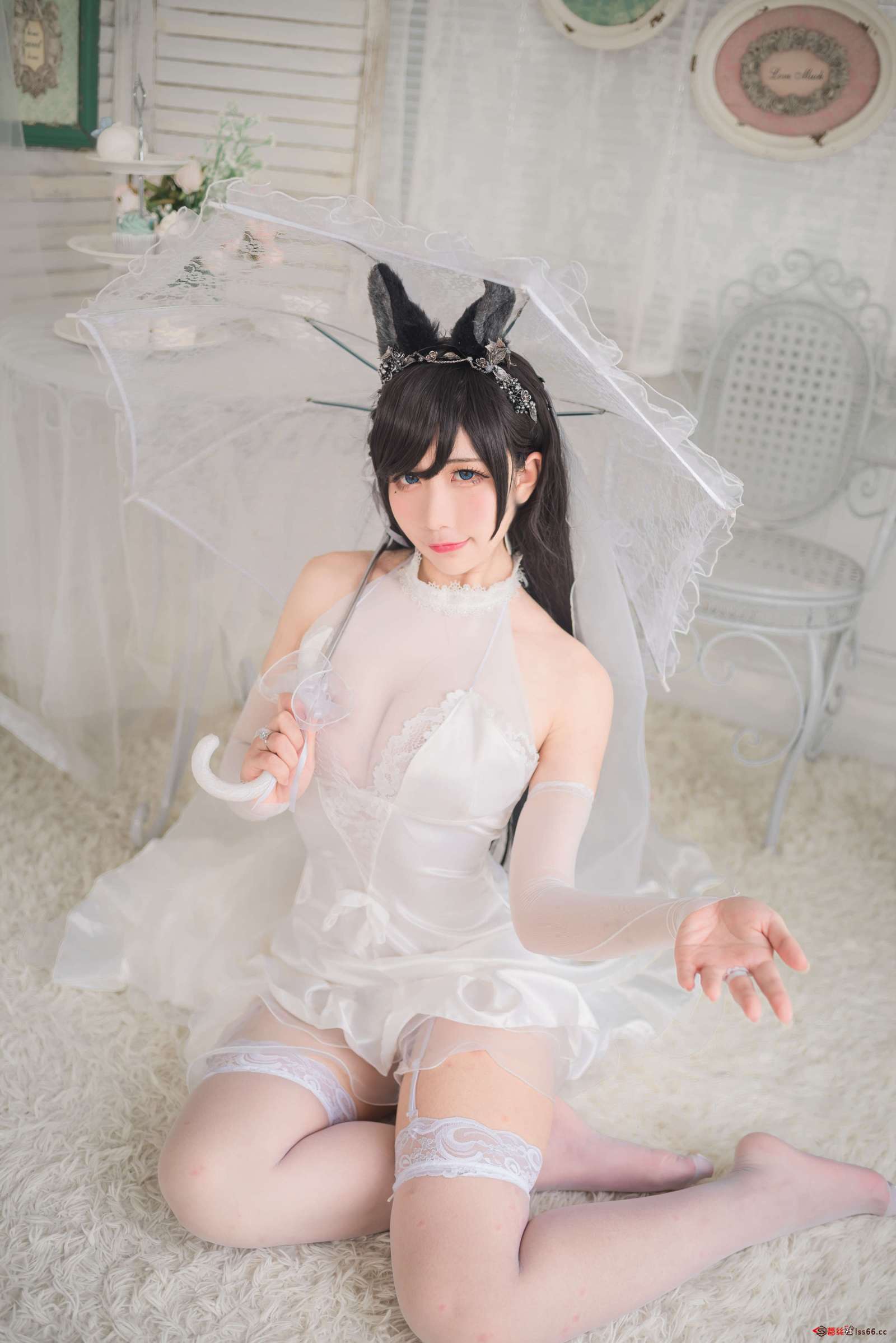 https://www.lss77.com/wp-content/uploads/2022/06/C-35-1600x2397.jpg