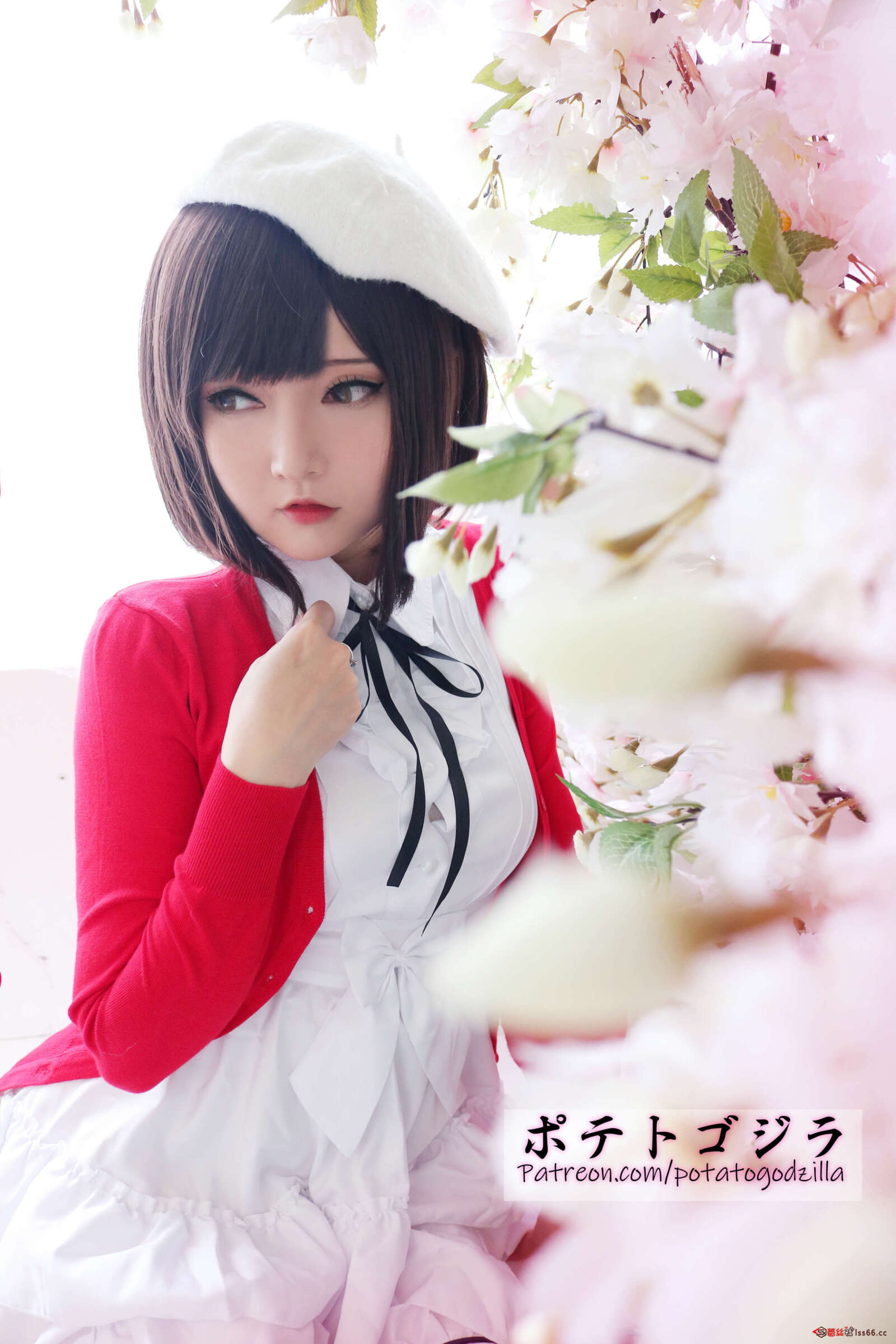 https://www.lss77.com/wp-content/uploads/2022/06/C-6-55-1600x2400.jpg