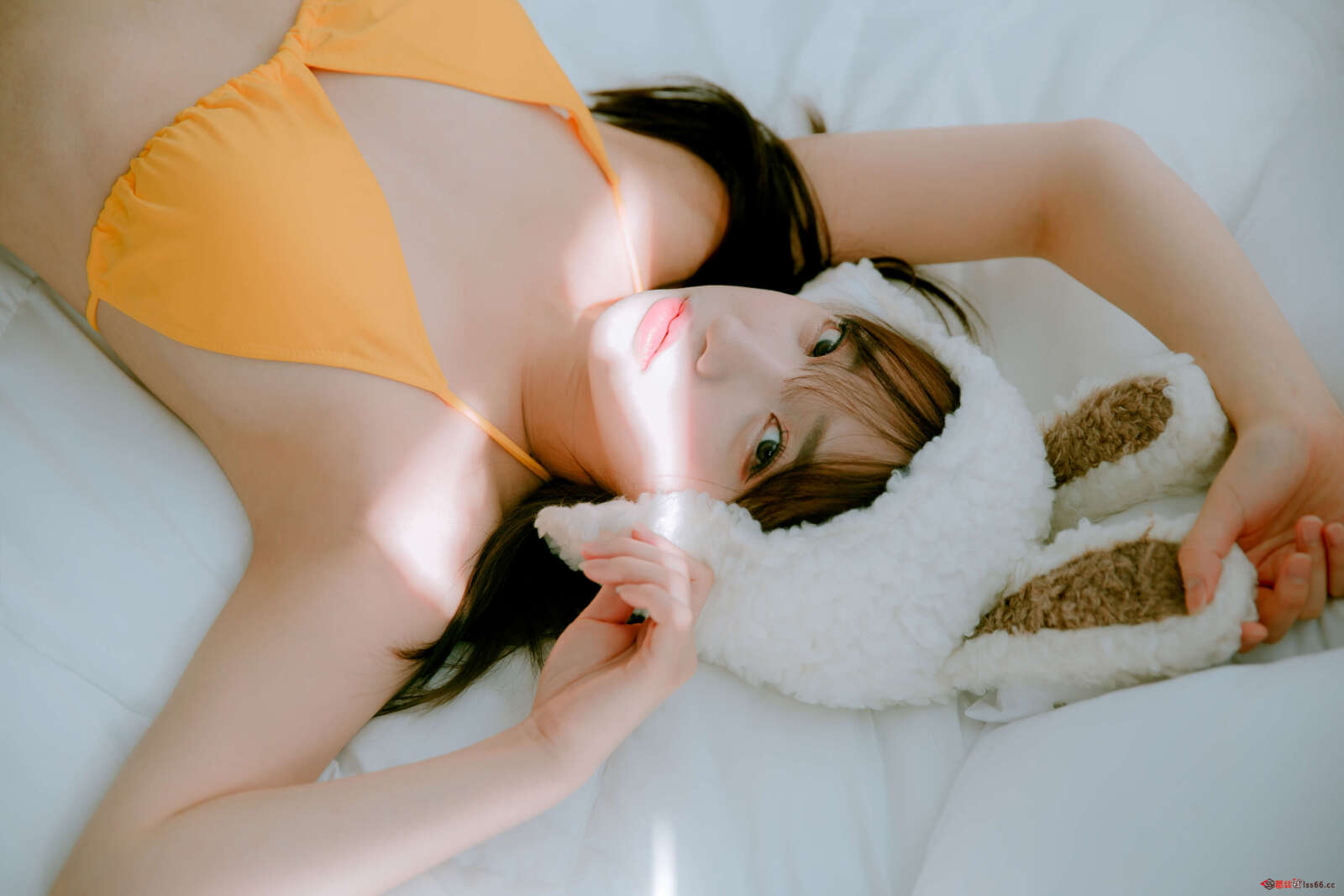 https://www.lss77.com/wp-content/uploads/2022/06/C-79-5-1600x1067.jpg