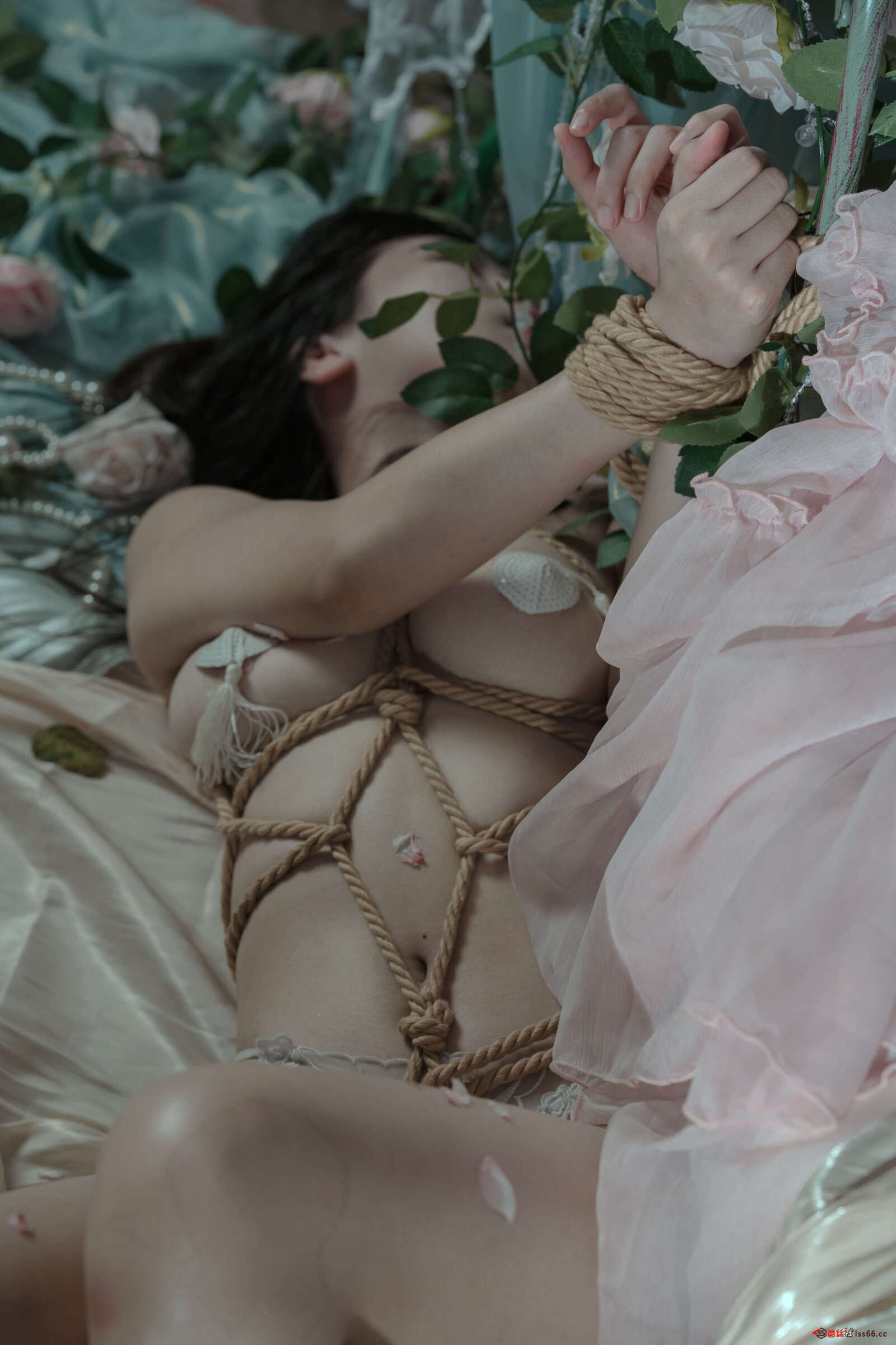 https://www.lss77.com/wp-content/uploads/2022/06/cover-460-1600x2400.jpg