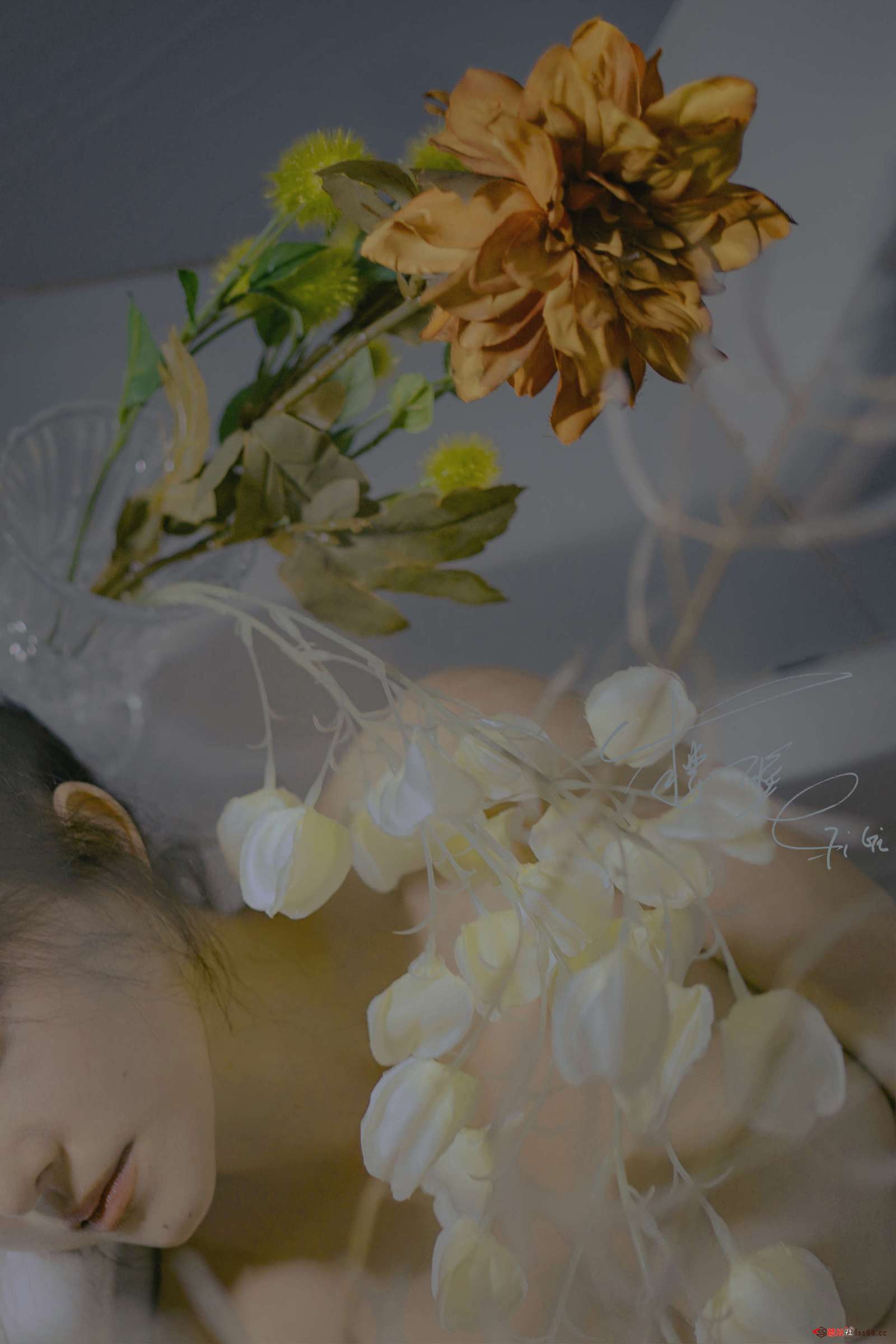 https://www.lss77.com/wp-content/uploads/2022/07/0002-231-1600x2400.jpg
