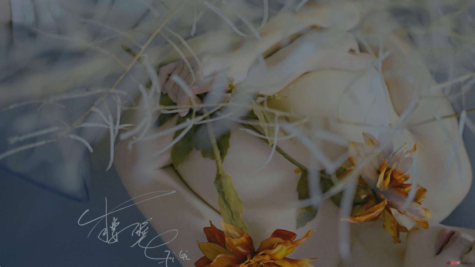 https://www.lss77.com/wp-content/uploads/2022/07/0003-232-1600x900.jpg