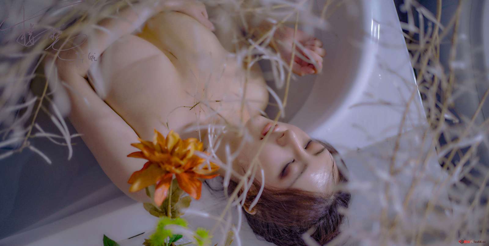 https://www.lss77.com/wp-content/uploads/2022/07/0020-223-1600x806.jpg