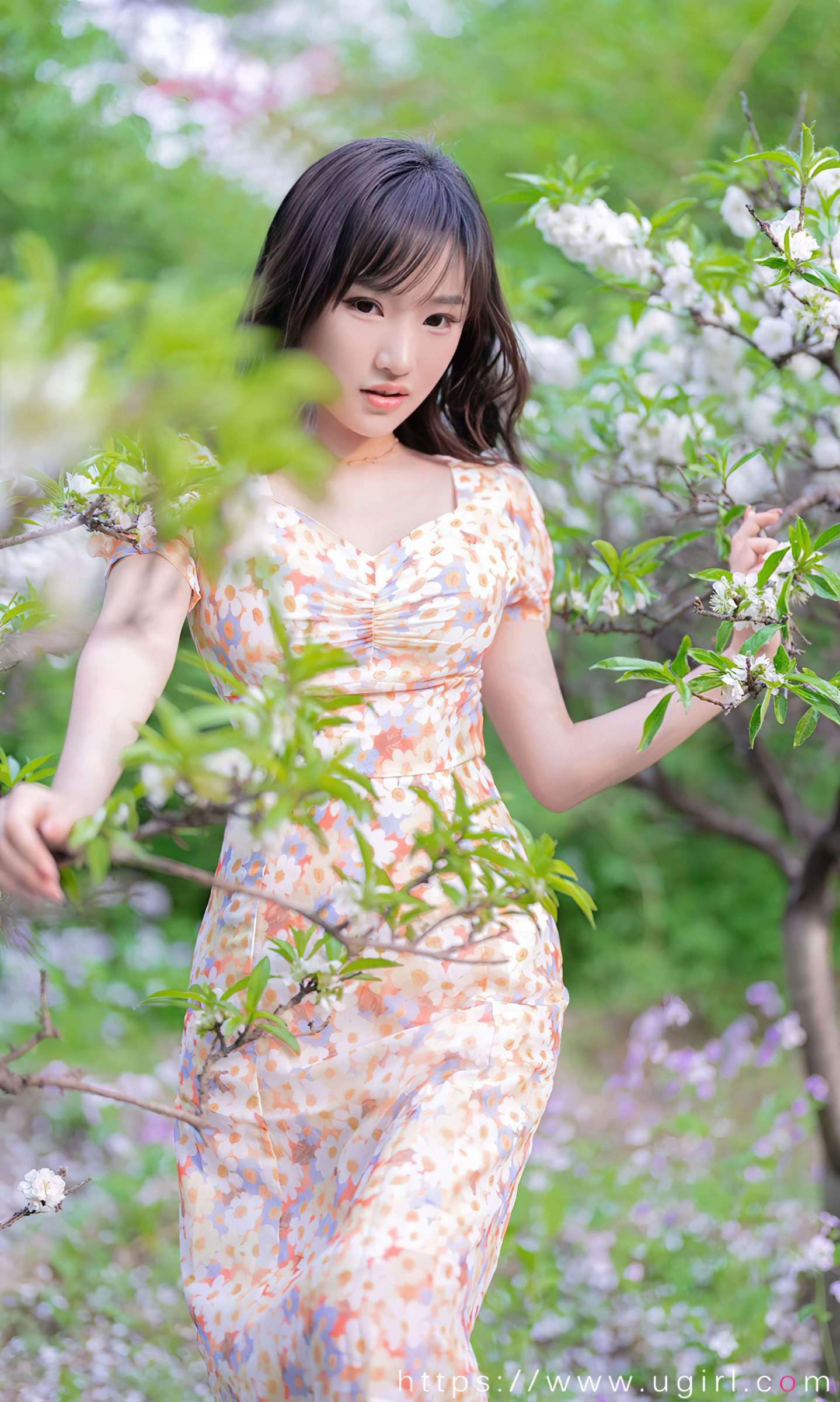 https://www.lss77.com/wp-content/uploads/2022/07/0024-210-1439x2400.jpg