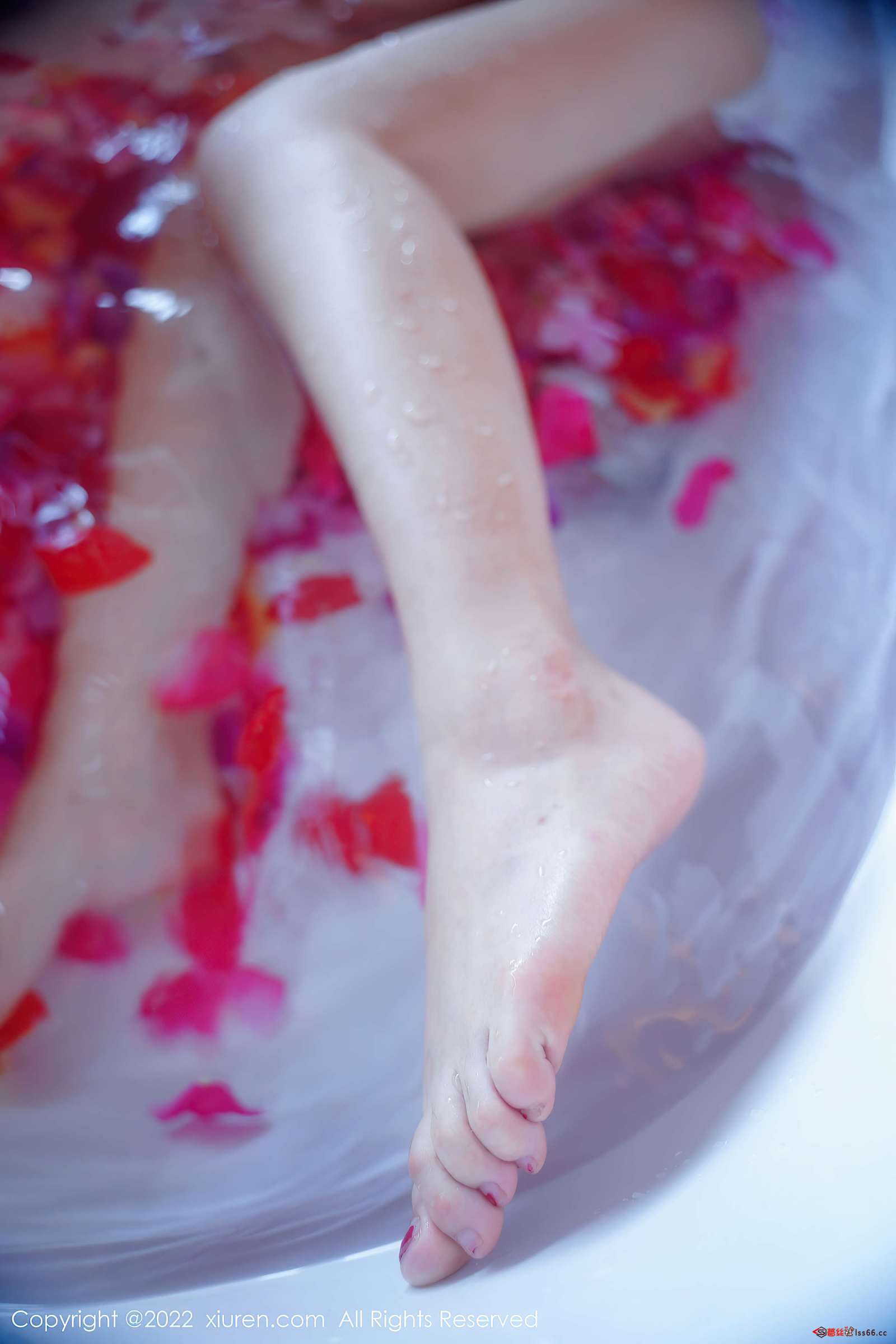 https://www.lss77.com/wp-content/uploads/2022/07/0057-68-1600x2400.jpg