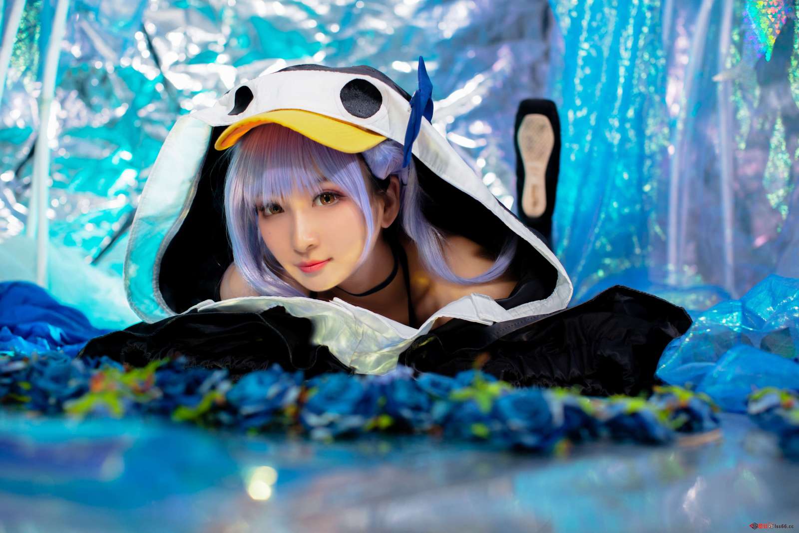 https://www.lss77.com/wp-content/uploads/2022/07/C-12-1-1600x1067.jpg