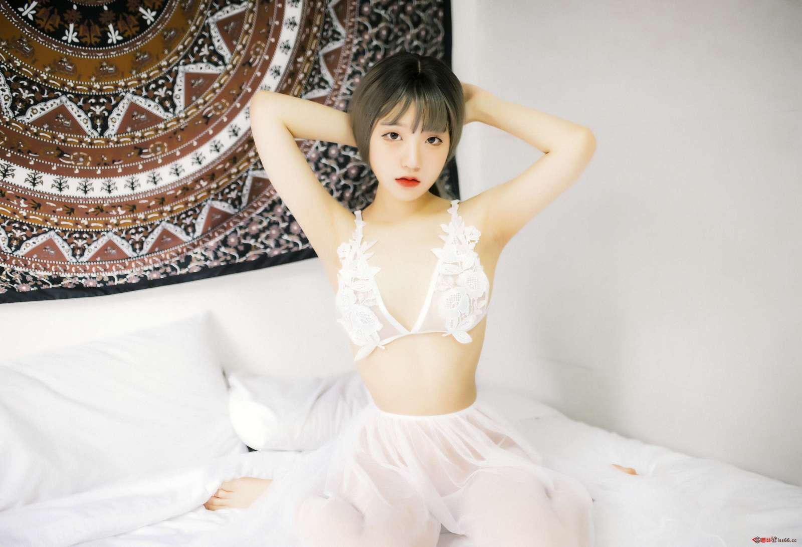 https://www.lss77.com/wp-content/uploads/2022/07/C-34-3-1600x1091.jpg