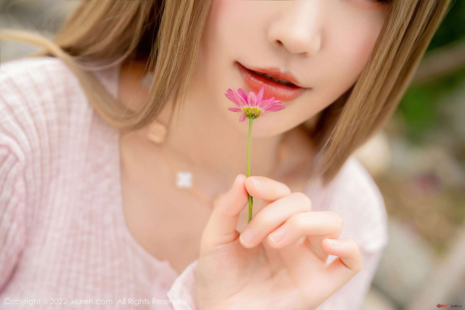 https://www.lss77.com/wp-content/uploads/2022/08/0012-166-1600x1067.jpg