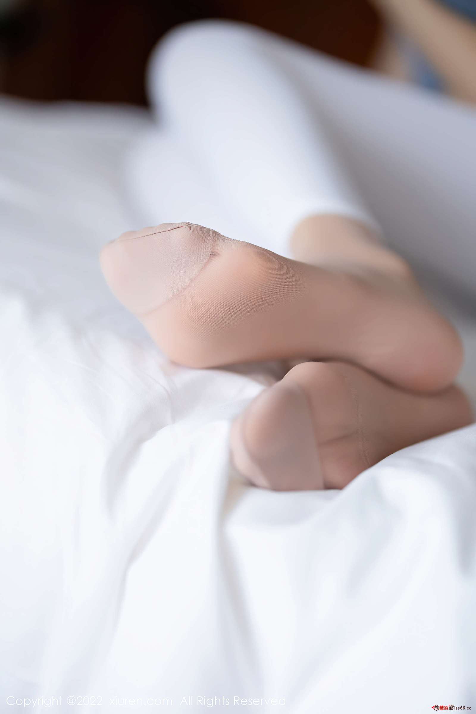 https://www.lss77.com/wp-content/uploads/2022/08/0044-219-1600x2400.jpg