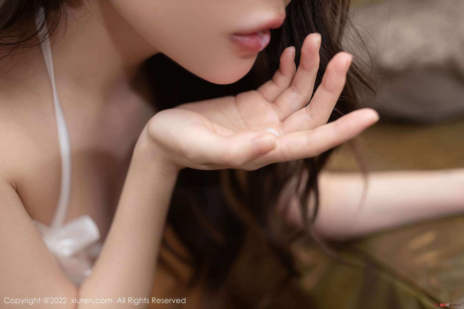 https://www.lss77.com/wp-content/uploads/2022/08/0062-45-1600x1067.jpg