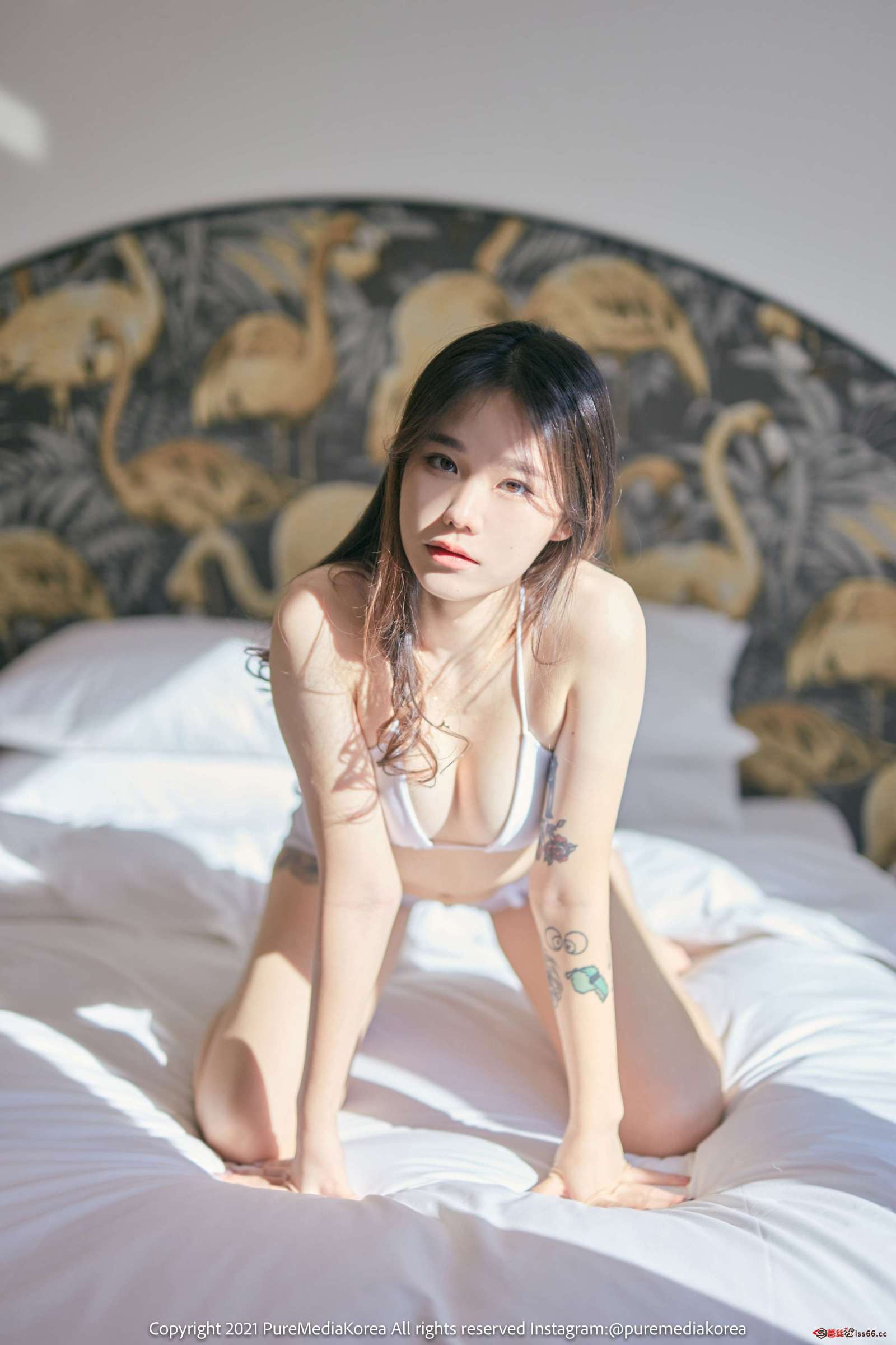 https://www.lss77.com/wp-content/uploads/2022/08/1-3-8-1600x2400.jpg
