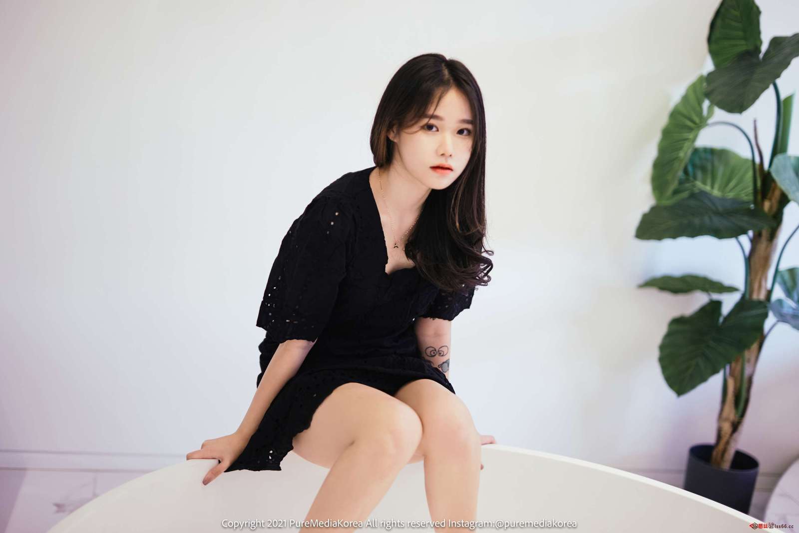https://www.lss77.com/wp-content/uploads/2022/08/1-48-5-1600x1067.jpg