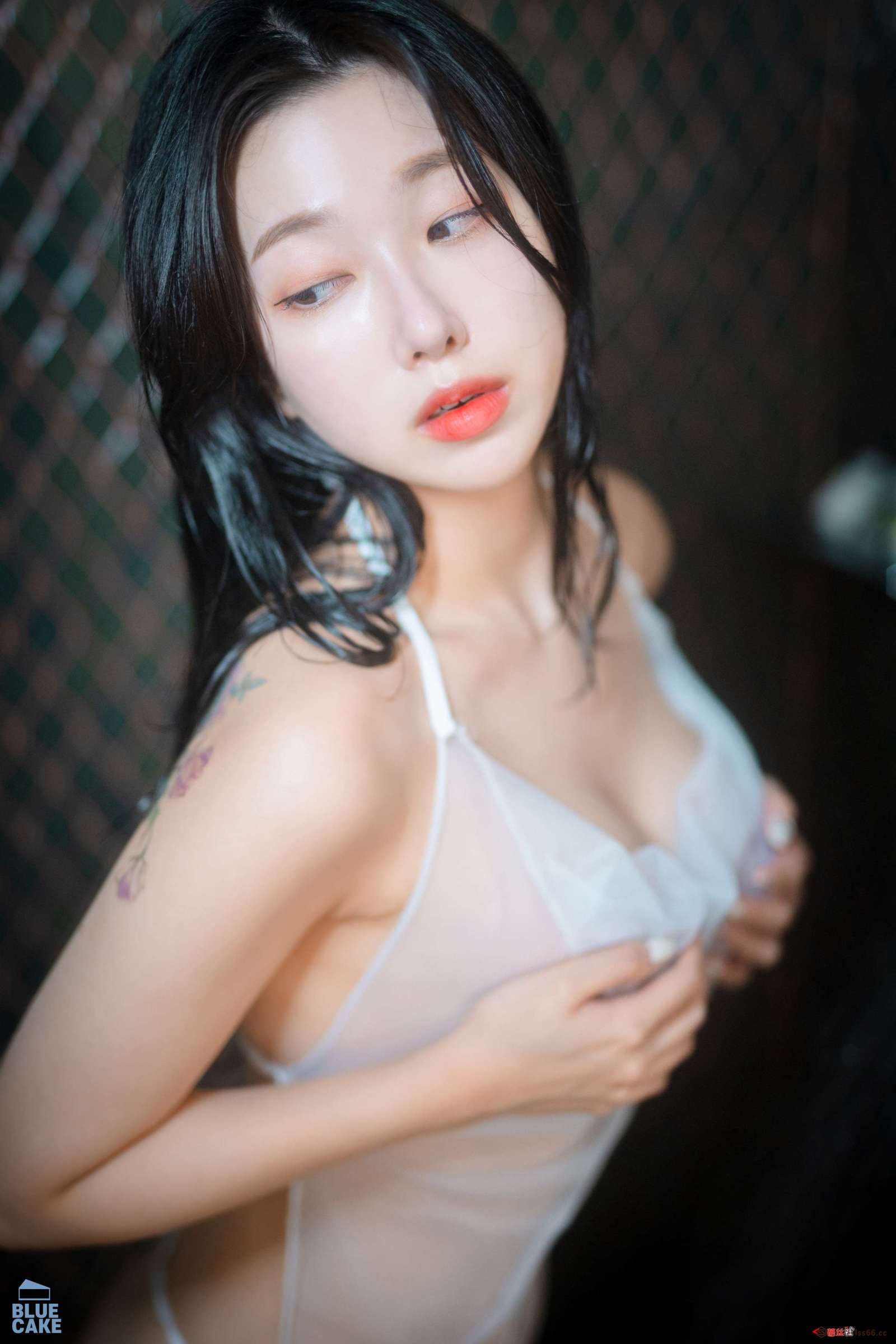 https://www.lss77.com/wp-content/uploads/2022/08/175-3-1600x2400.jpg