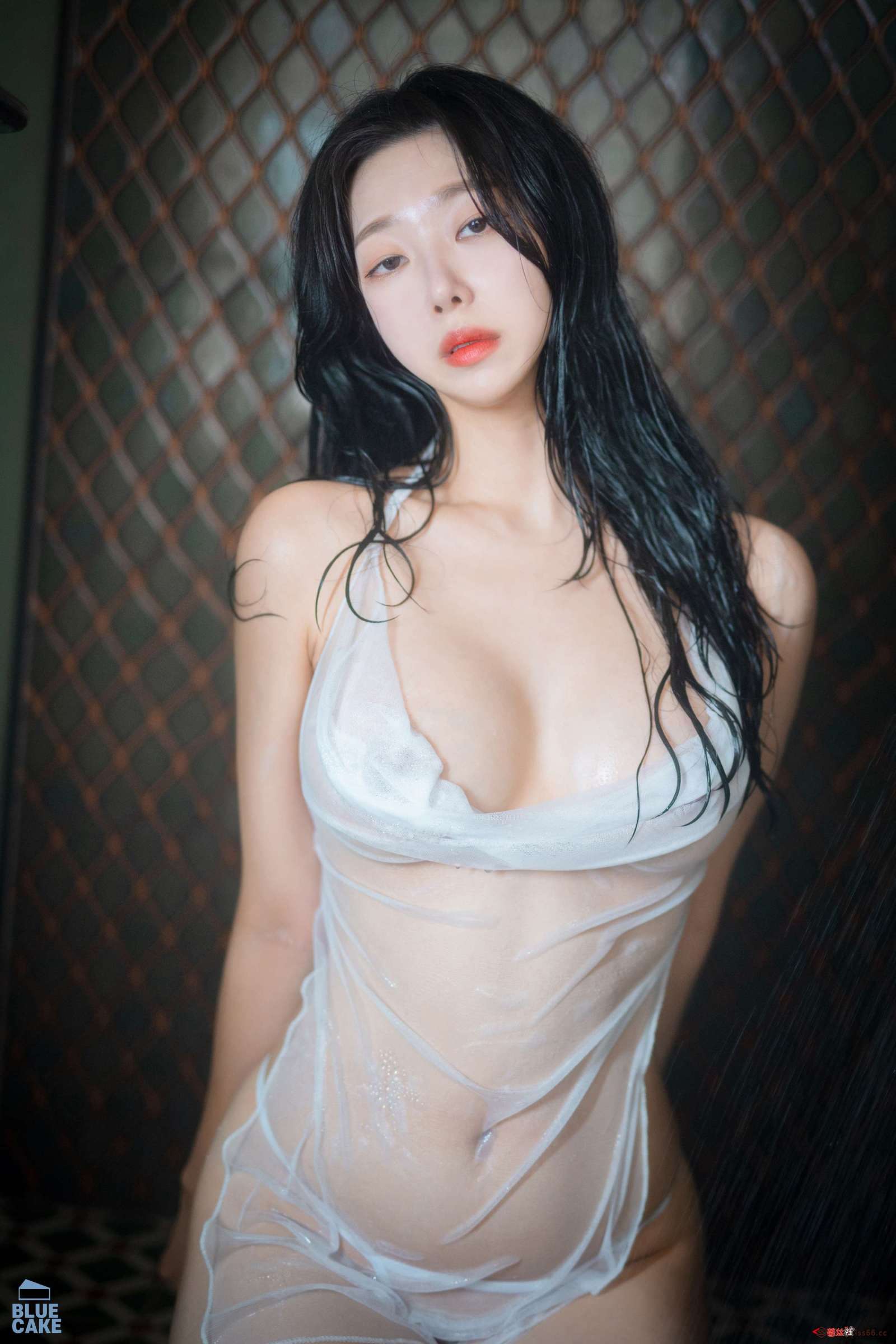 https://www.lss77.com/wp-content/uploads/2022/08/206-1-1600x2400.jpg