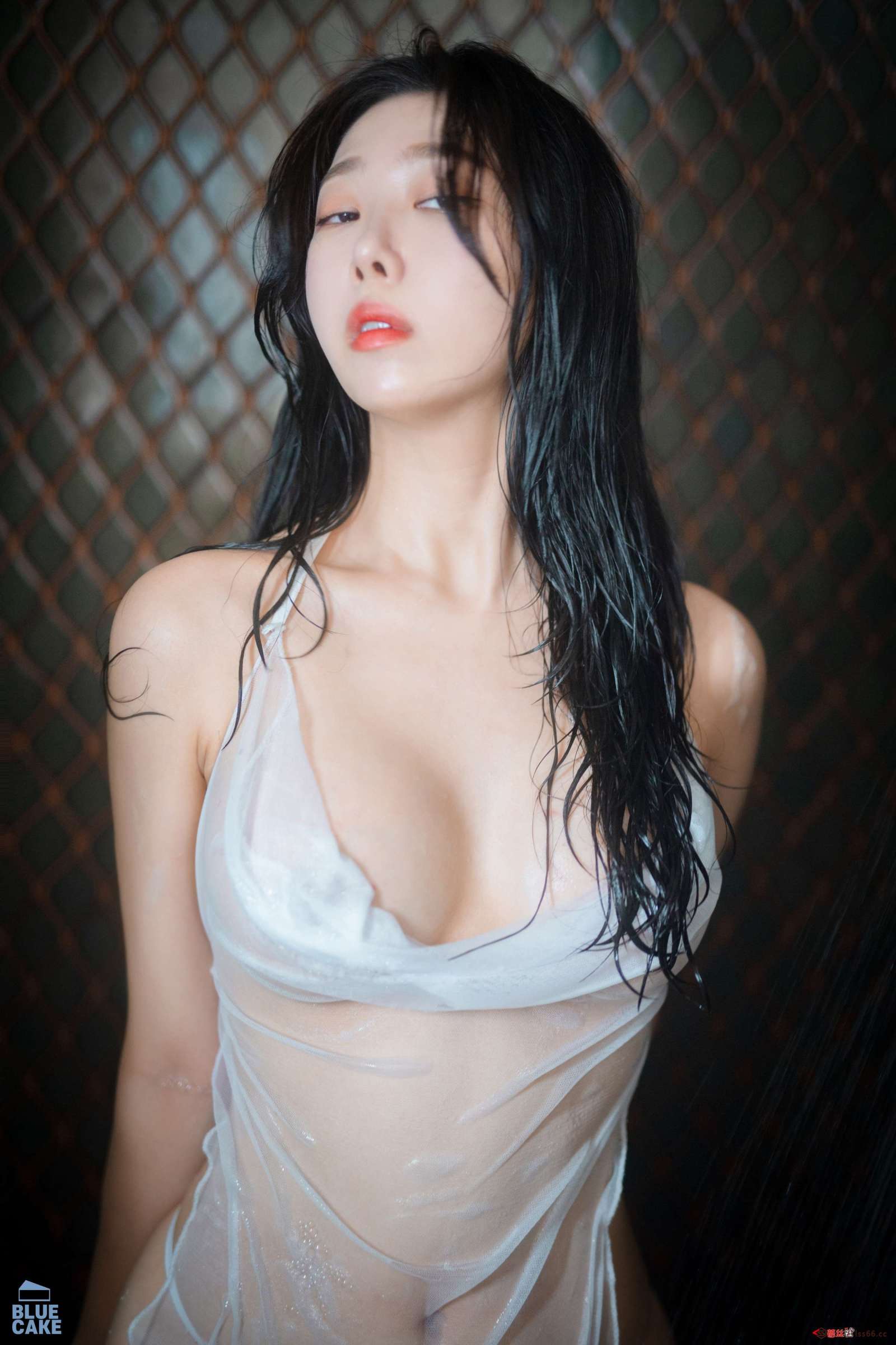 https://www.lss77.com/wp-content/uploads/2022/08/208-1-1600x2400.jpg