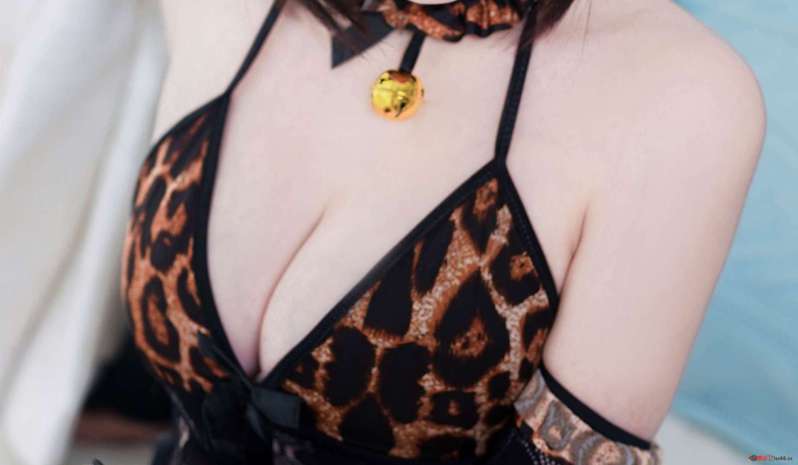 https://www.lss77.com/wp-content/uploads/2022/08/6-1600x933.jpg