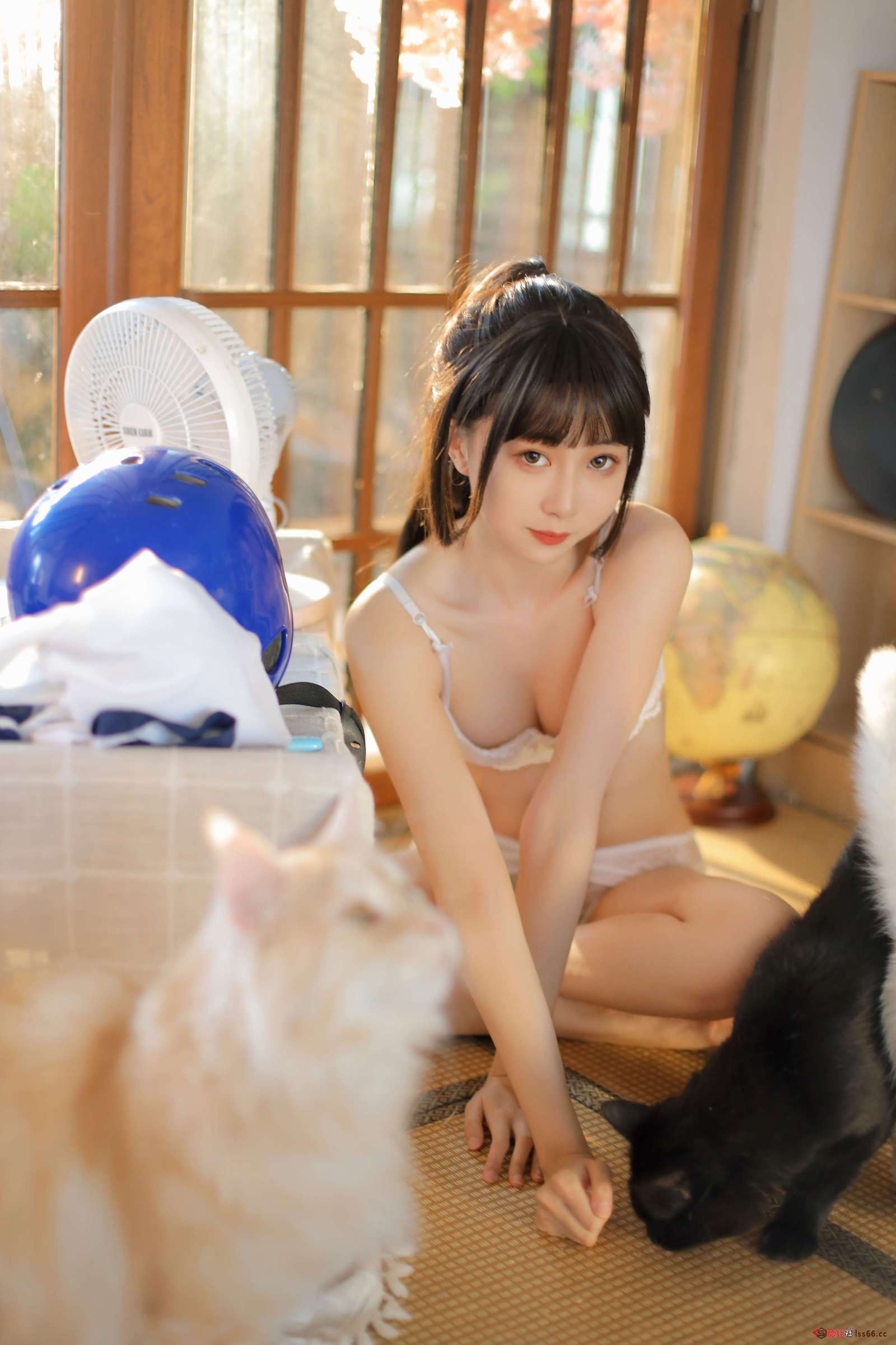 https://www.lss77.com/wp-content/uploads/2022/08/C-16-47-1600x2400.jpg